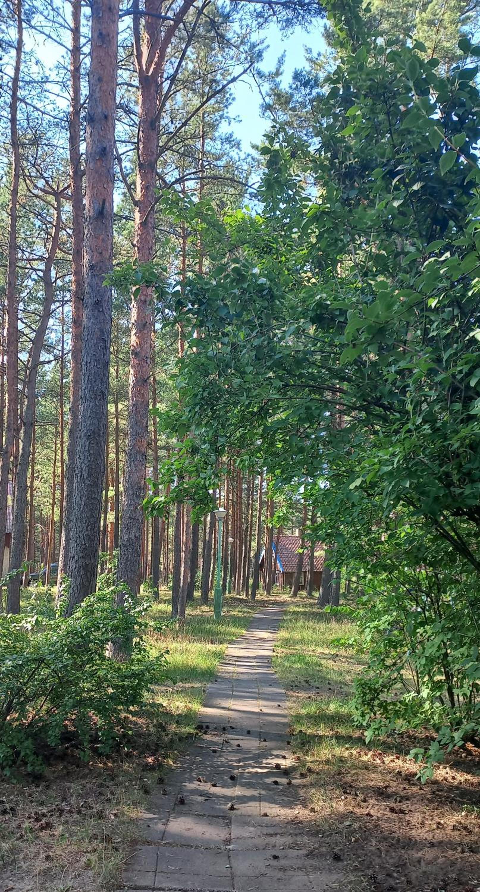 Nendrės apartamentai