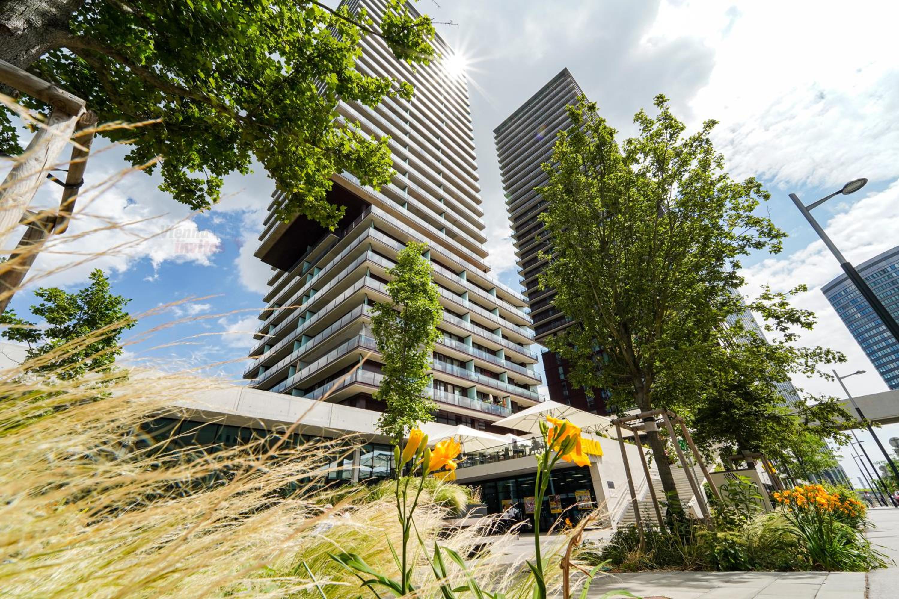 Wonderful Apartment with 2 bedrooms and pool and parking