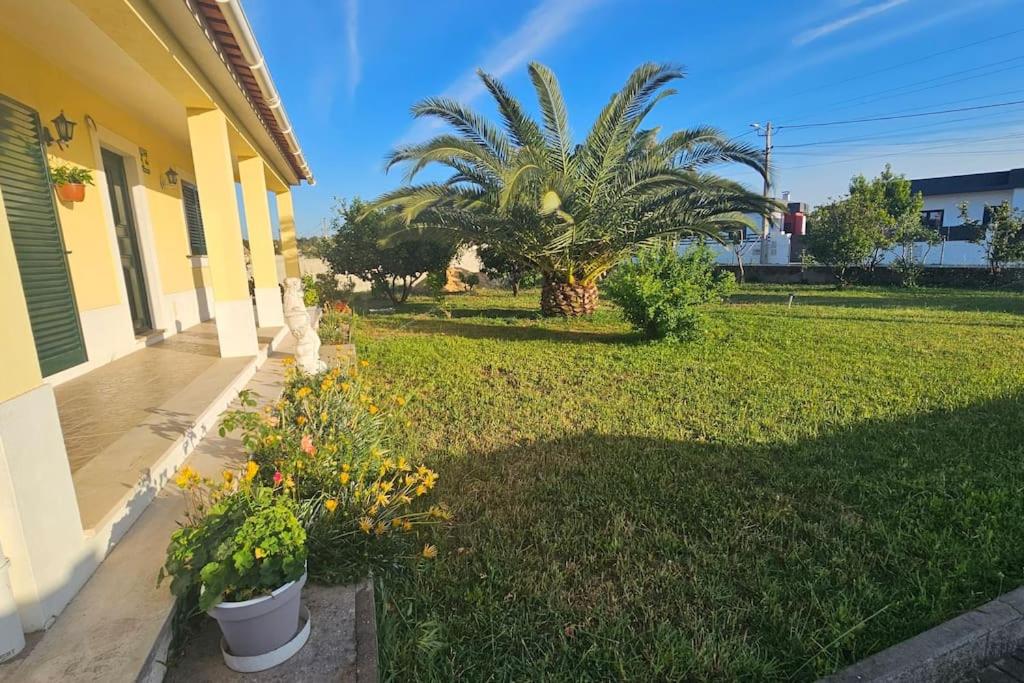 Quinta Marinhais Privada no Ribatejo com Piscina, BBQ e Animais, Perto de Lisboa view 5
