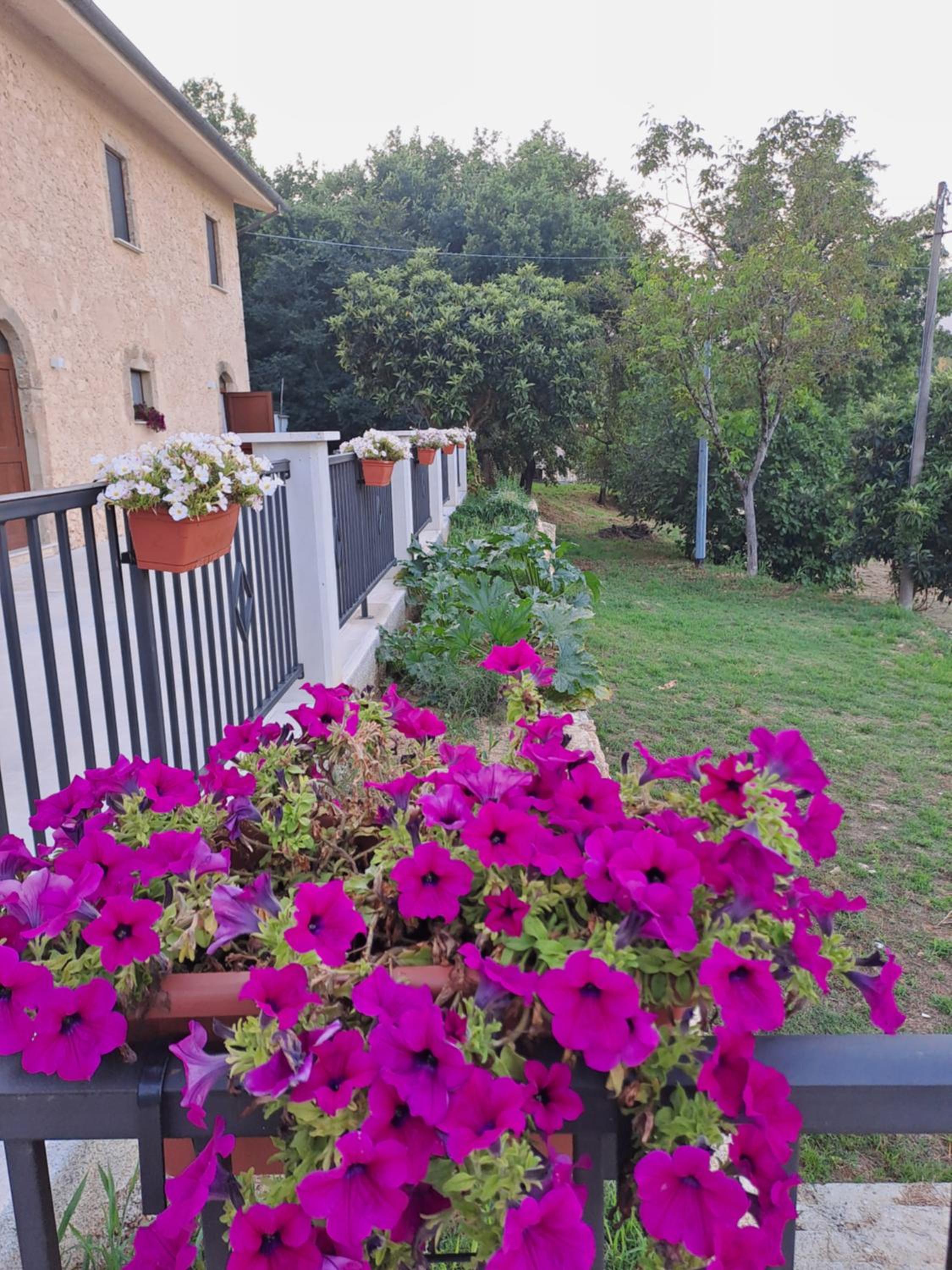 Agriturismo Pavoni