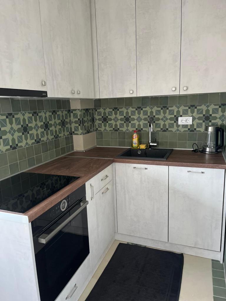 APARTMENT RESAVSKA ULICA view 5