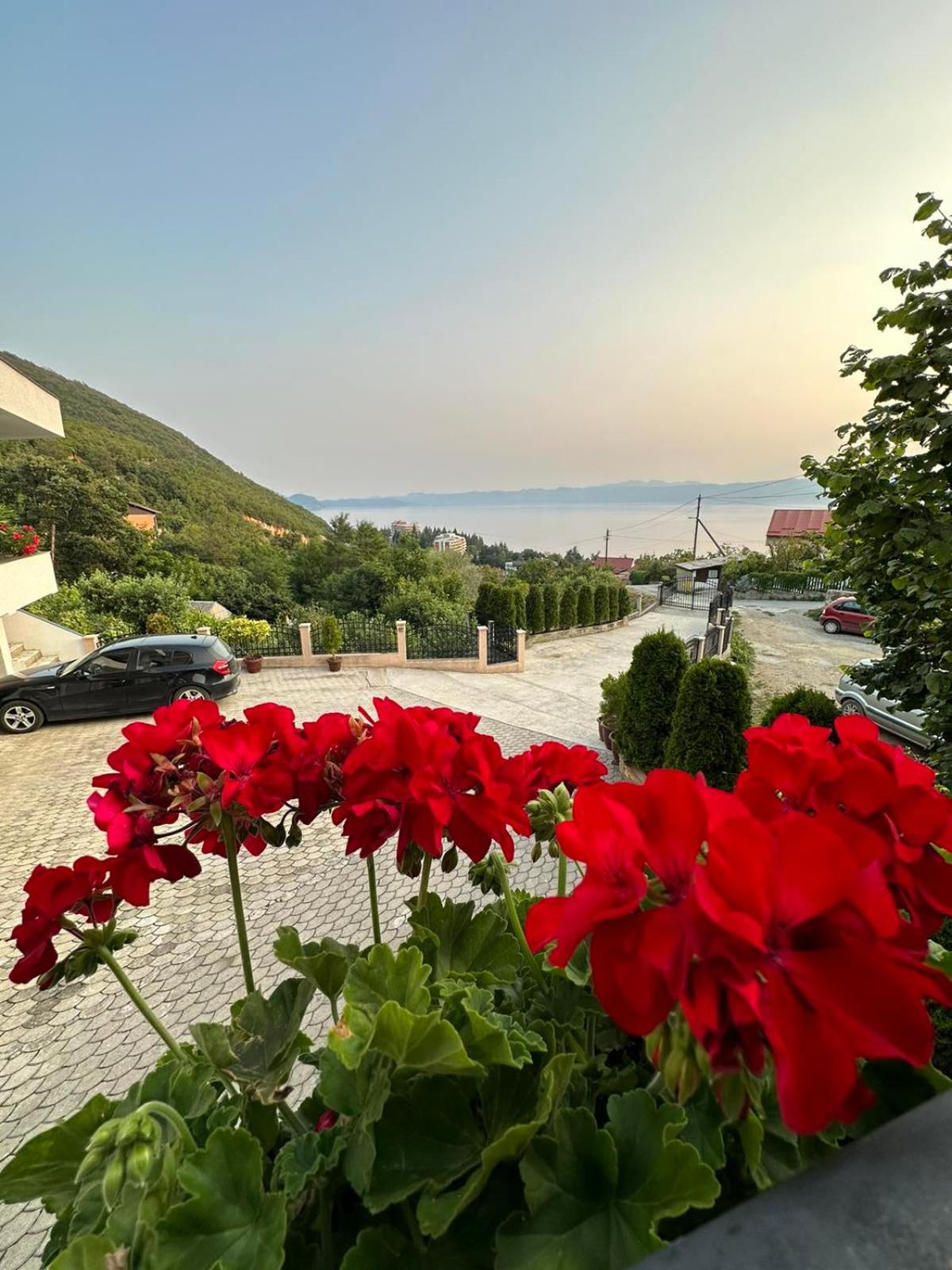 Villa Stefanoski