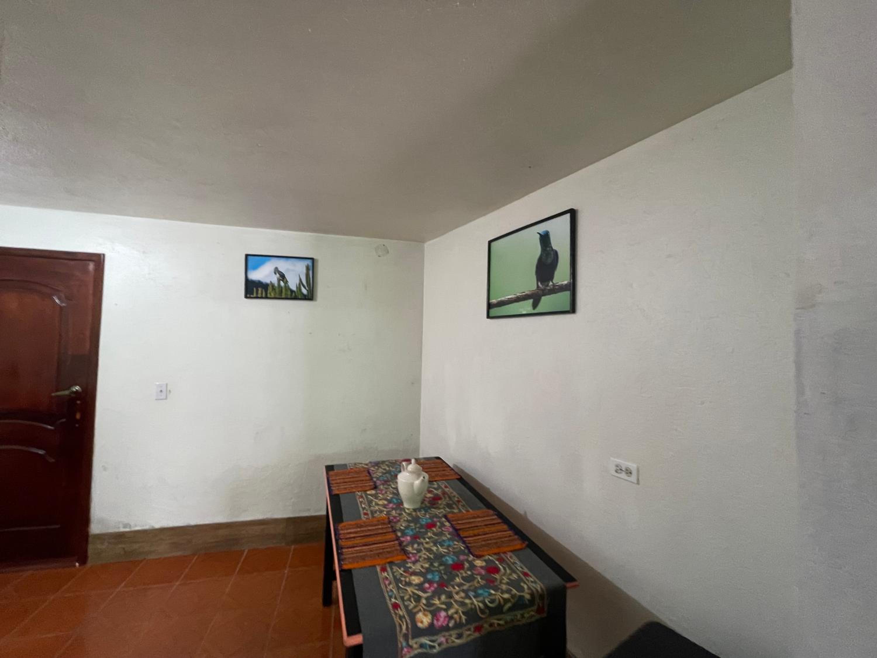 Hospedaje Las Bromelias - Departamento completo