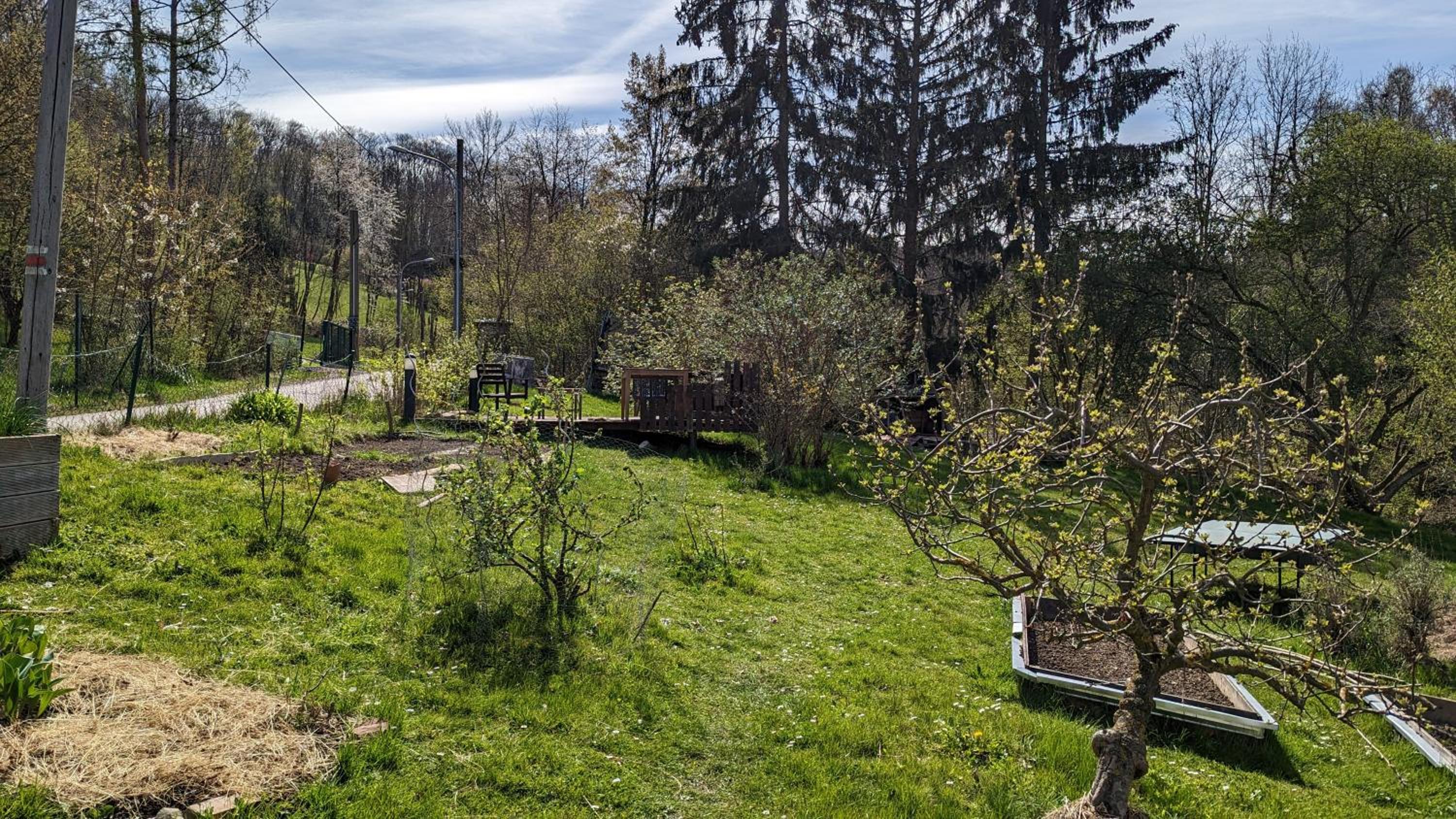 20 min nach Wien, Ruhig und Grün