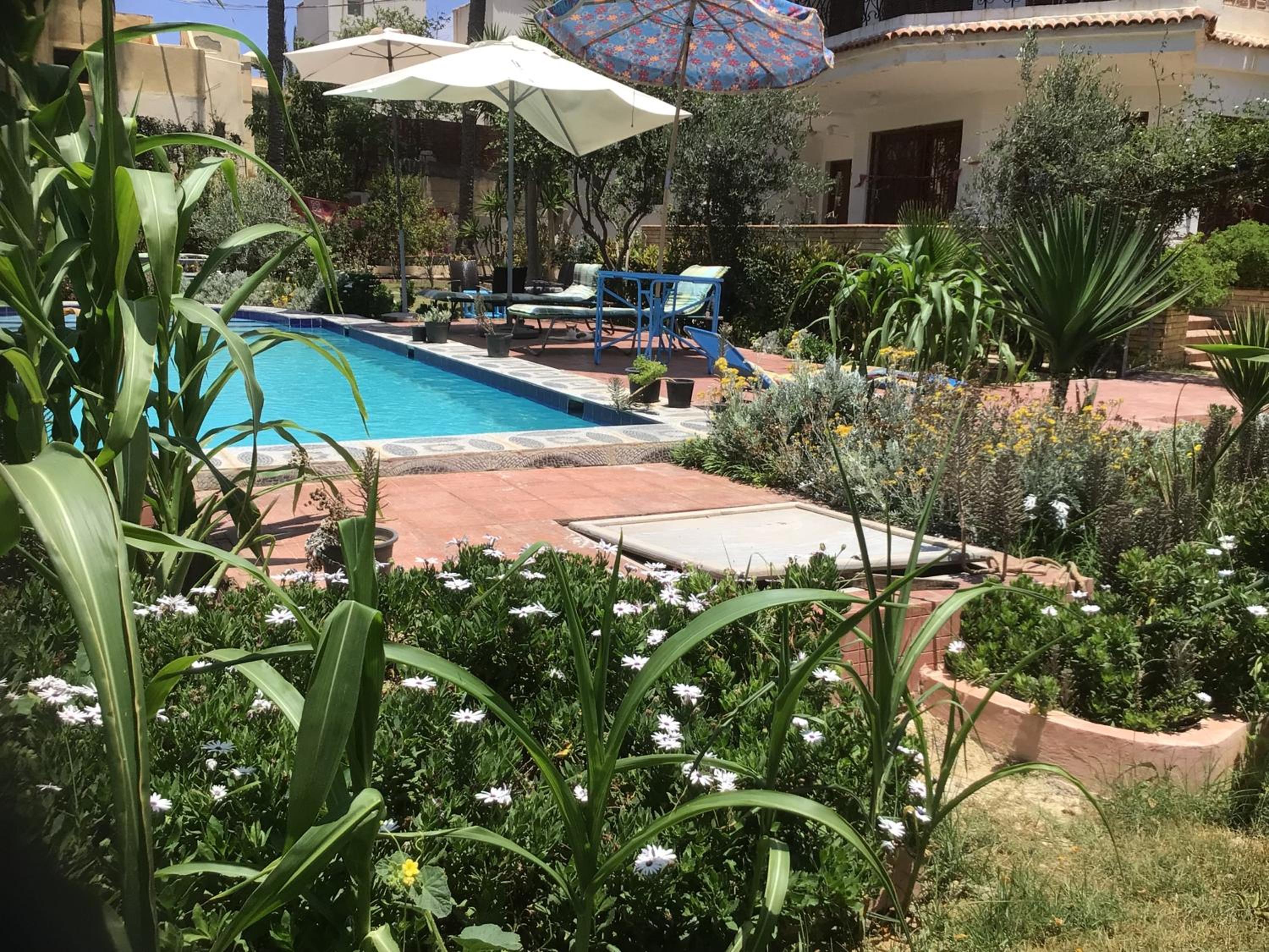 White Family Villa - Private Pool - AC - Very Big Garden - 5 bedrooms - 5- Min Walk to Beach view 3