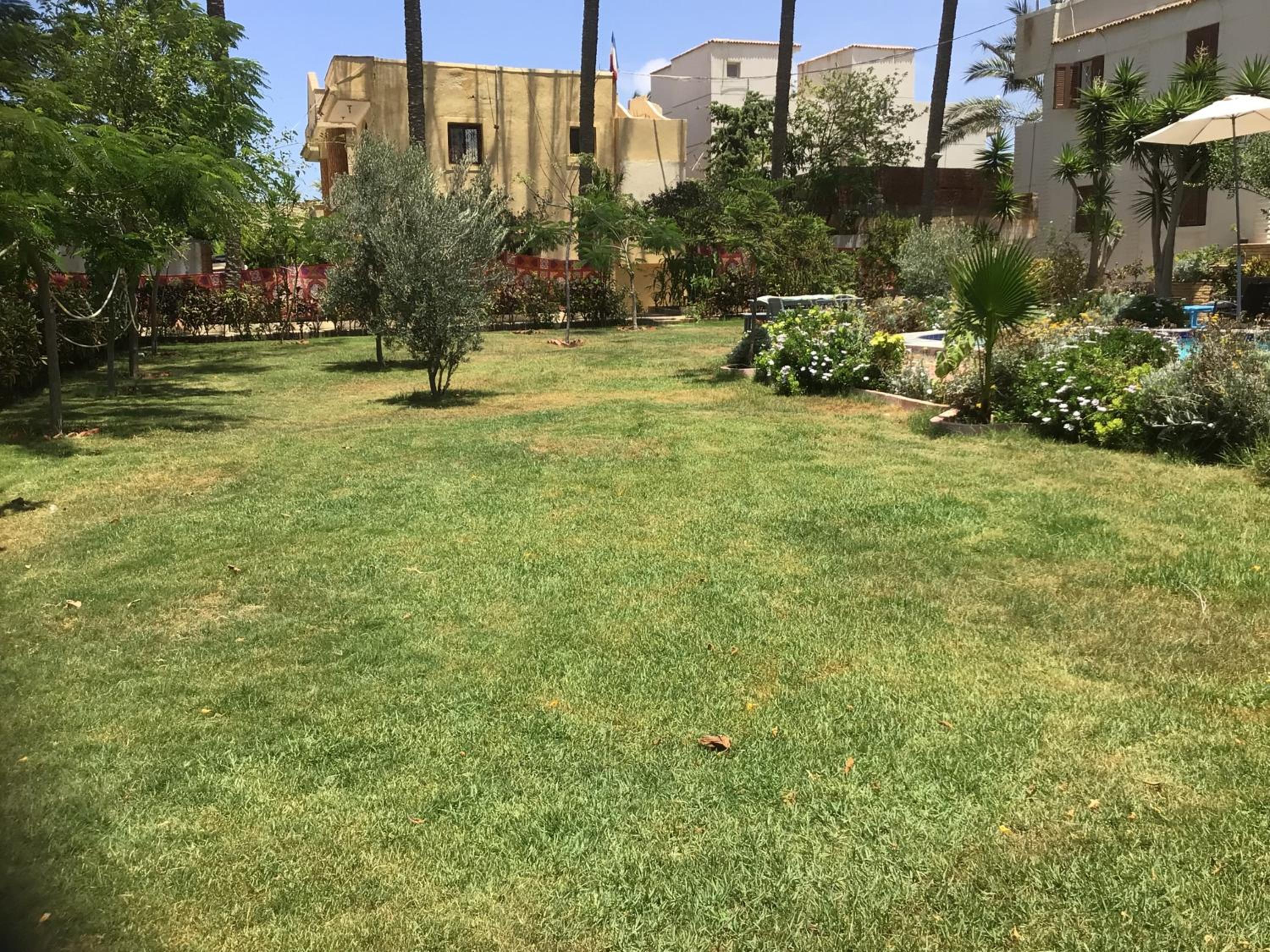 Photo 38