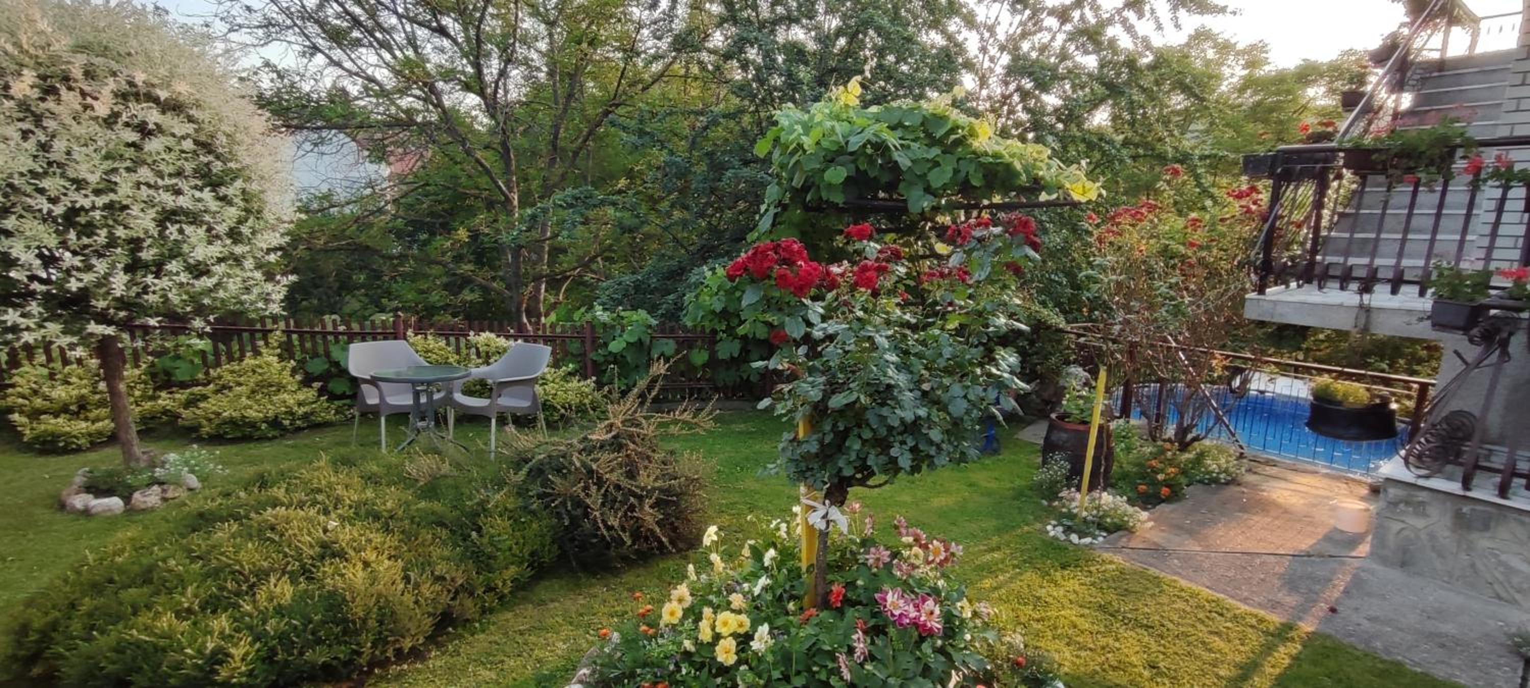 Apartmani Mali Raj Rudnik view 3