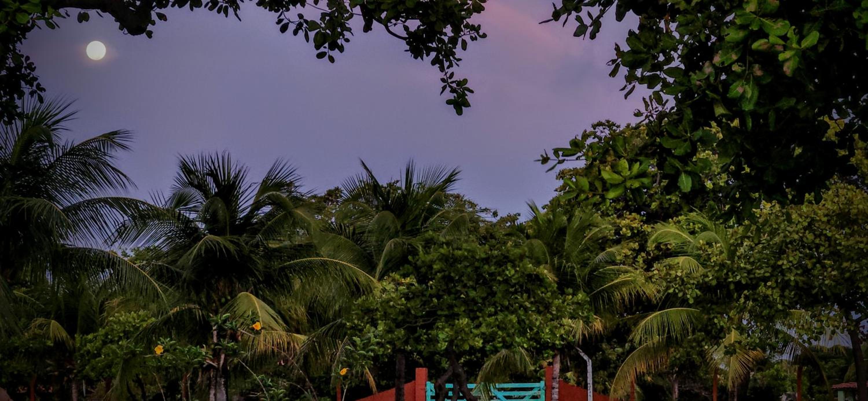 Sítio SPA Céu De Verdade , Praia de Barra Nova , Ceará