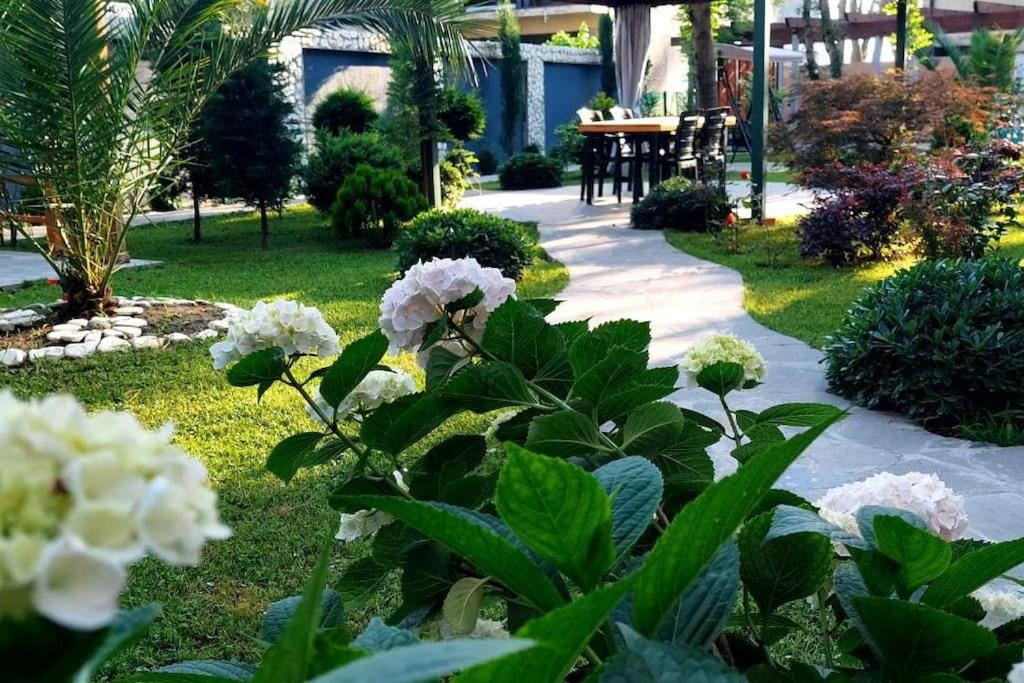 Photo 8