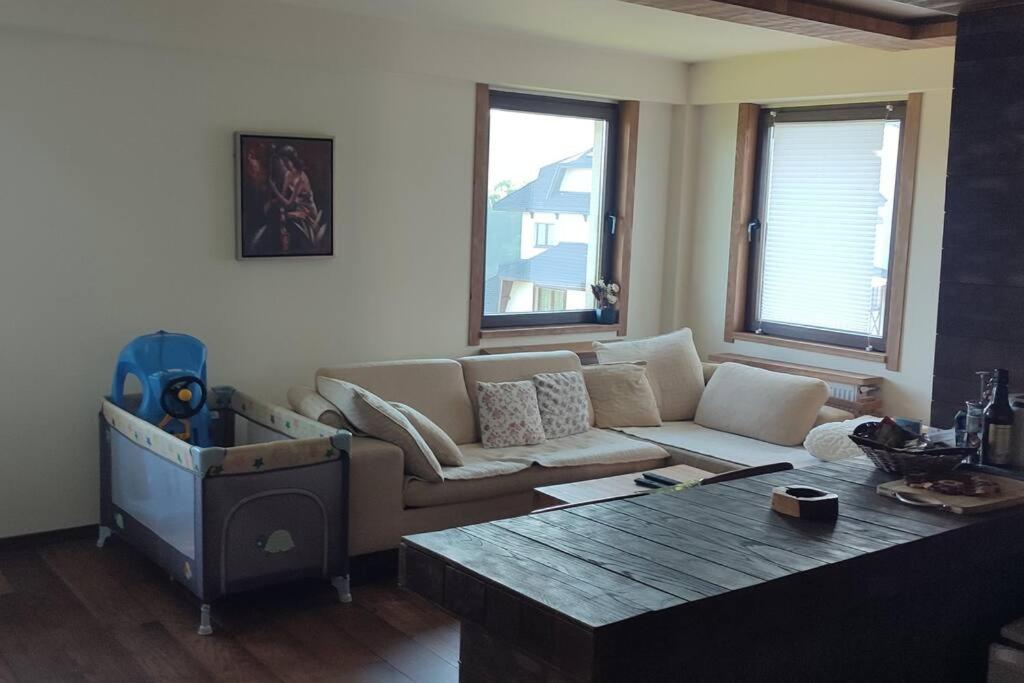 Vidik suite
