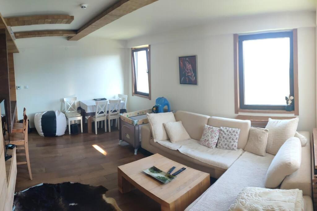 Vidik suite