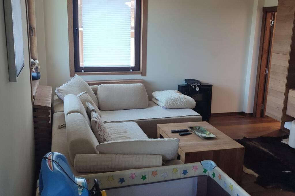Vidik suite