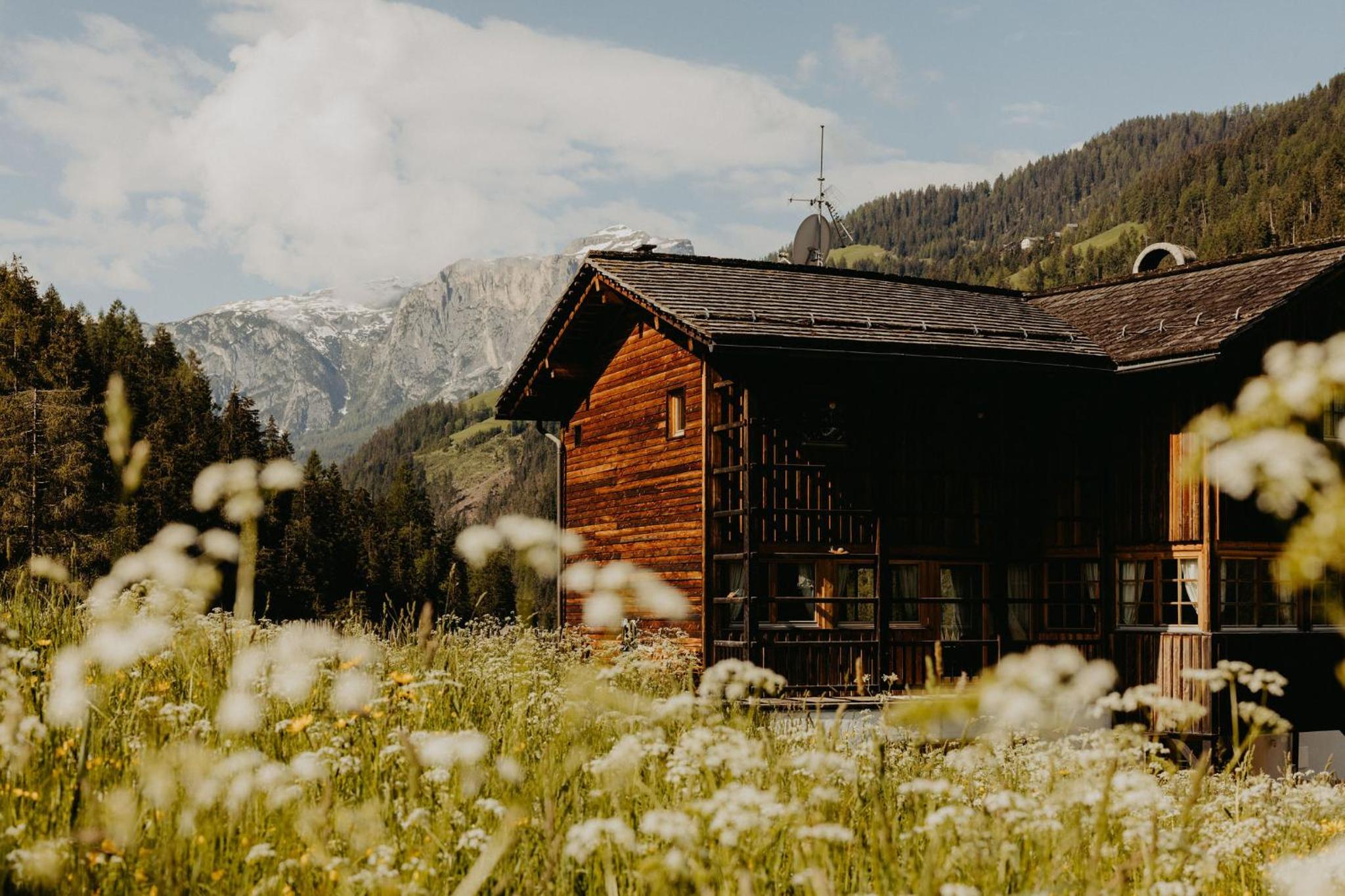 CHALET D'ERT view 2