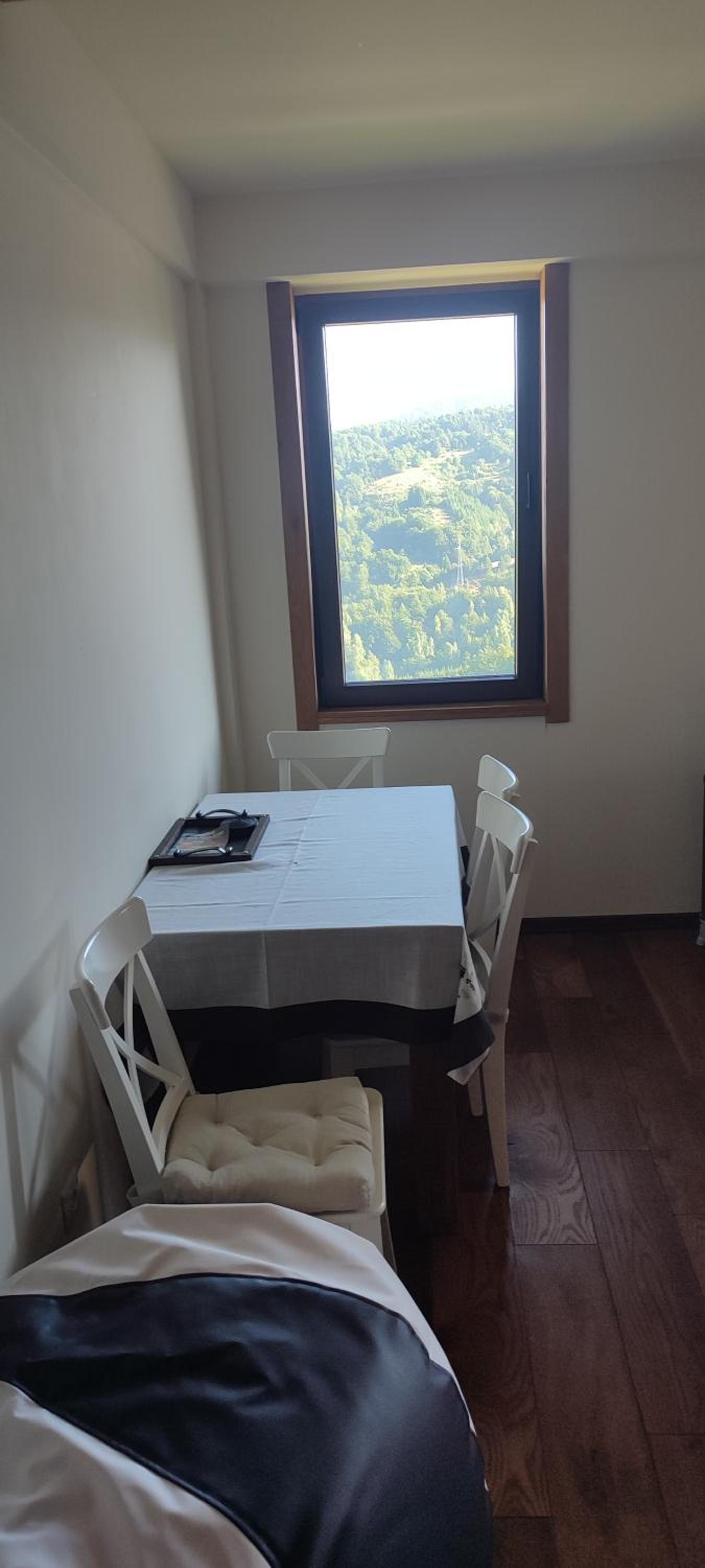 Vidik suite