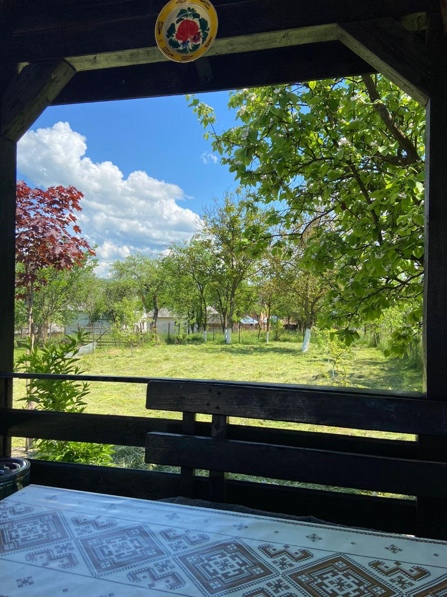 Photo 31