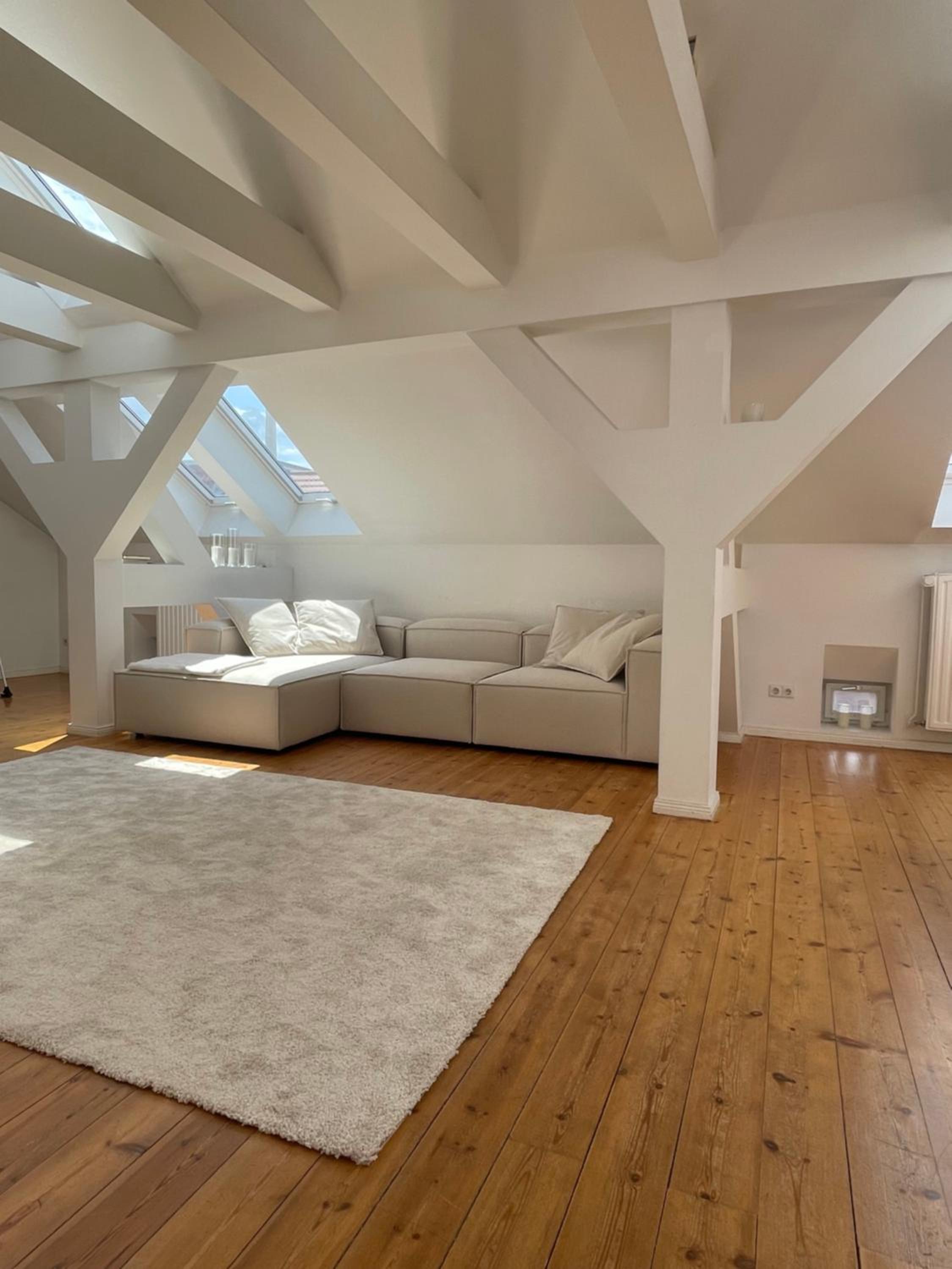 Luxurious Penthouse - Berlin Mitte (Center of Berlin)