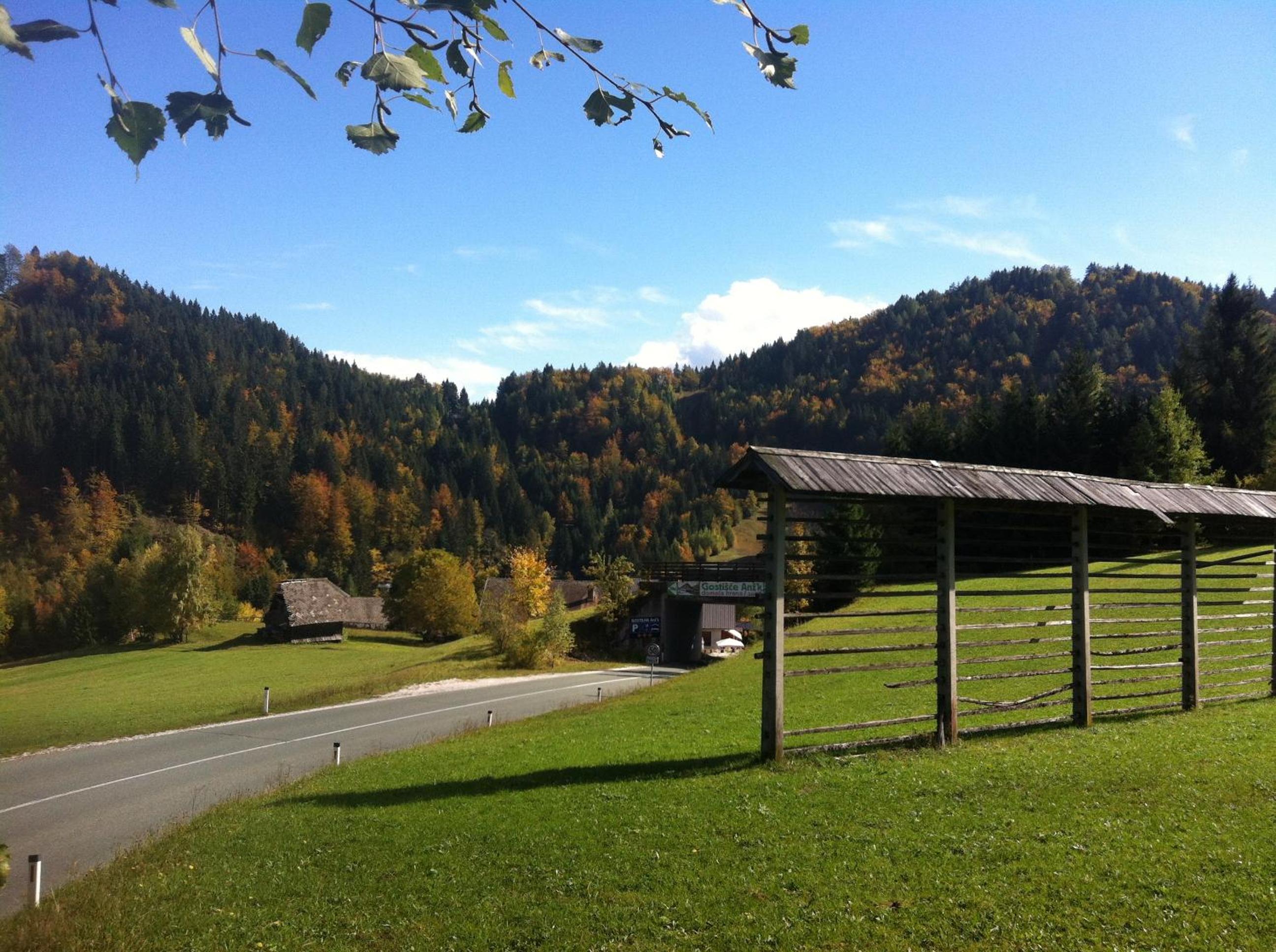 Photo 6