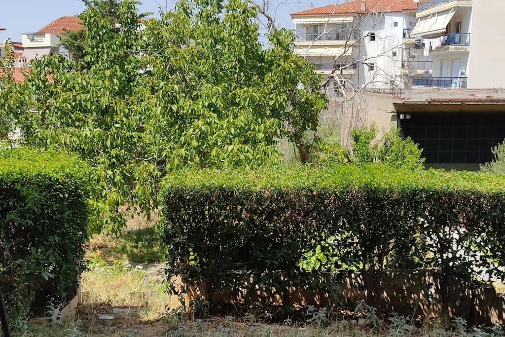 Pilea Luxury Apartments 3