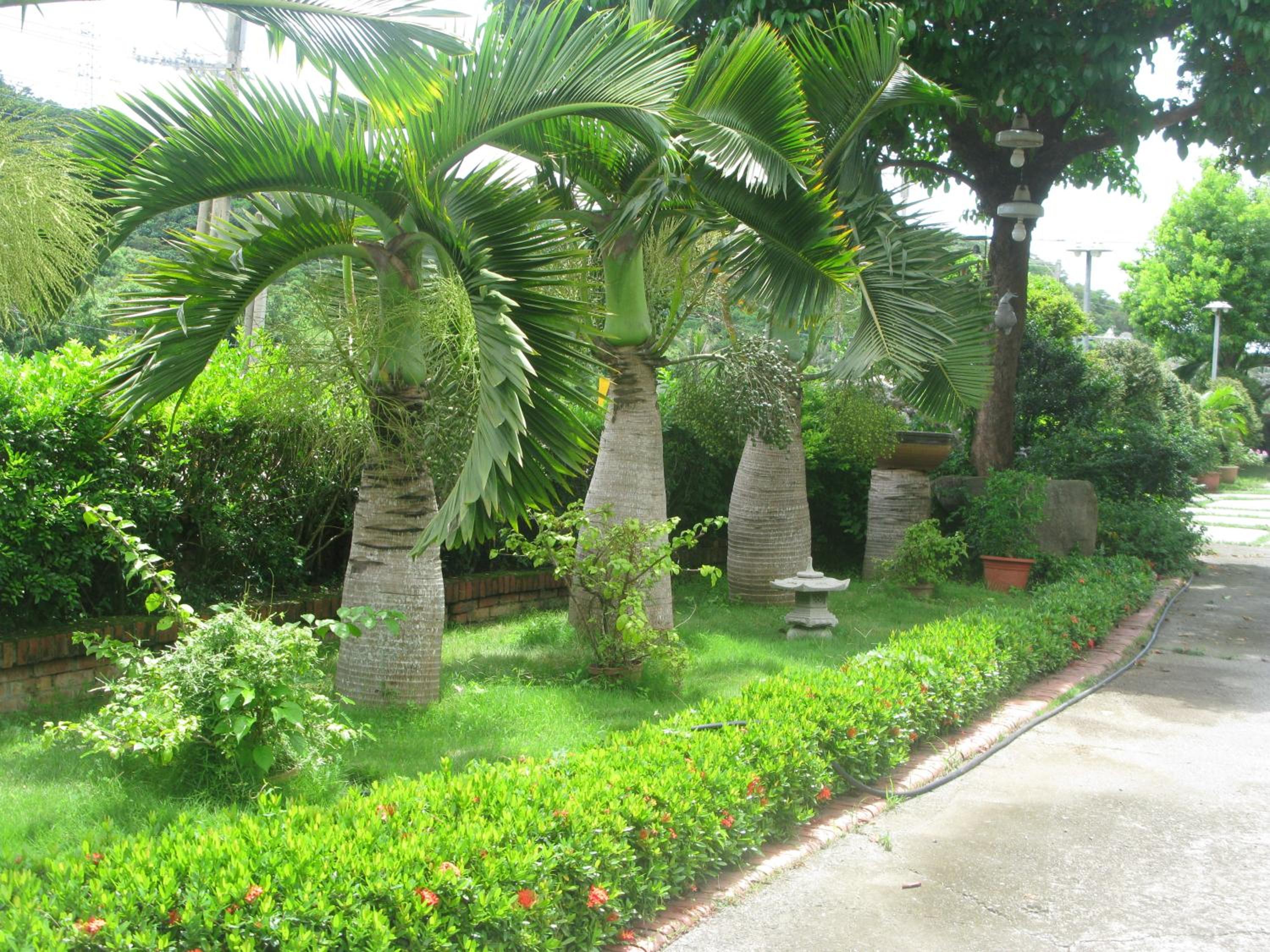 Green 58 B&B
