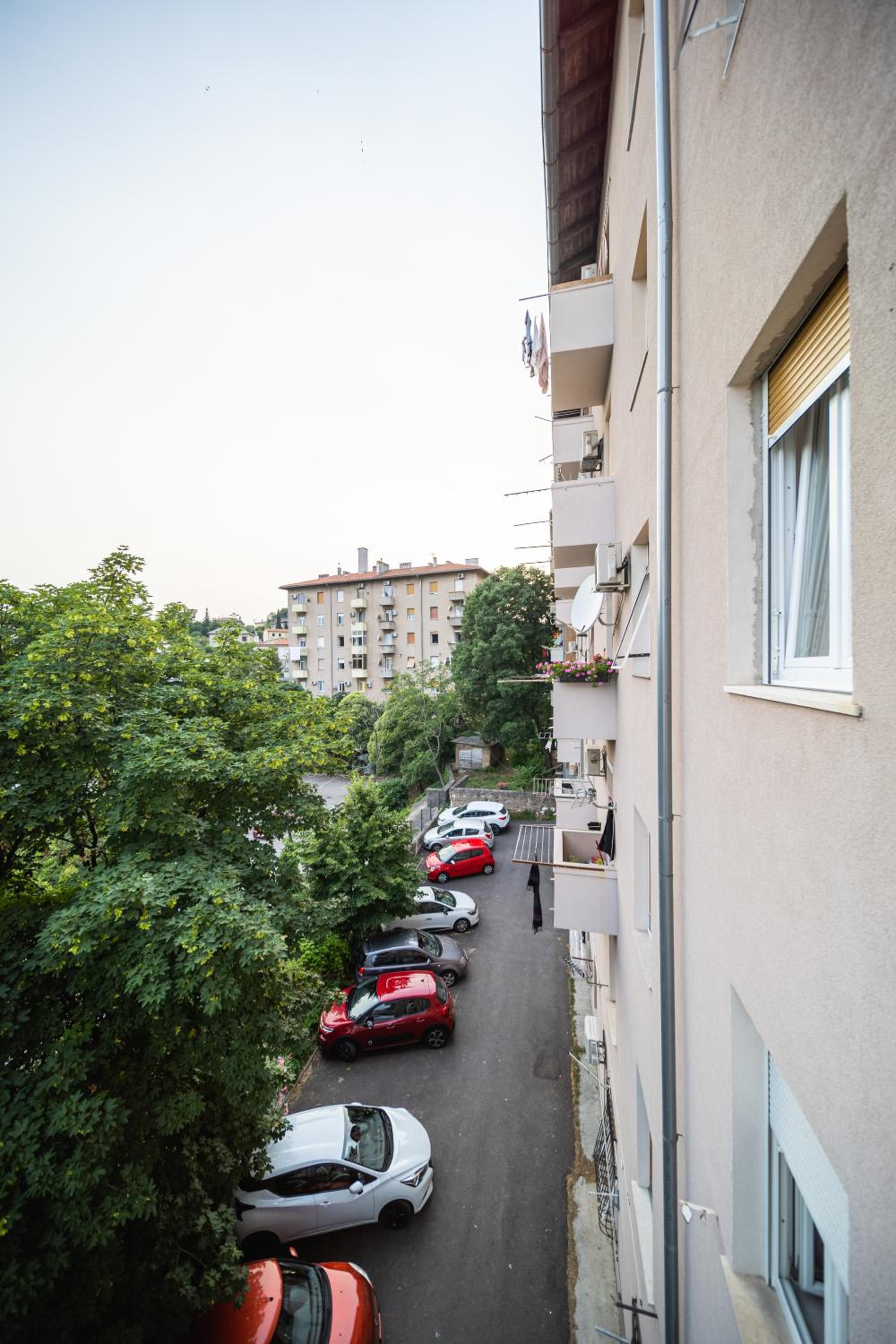 Brunea