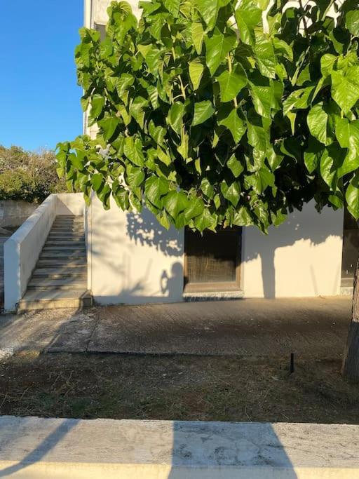 Anastasias Guesthouse
