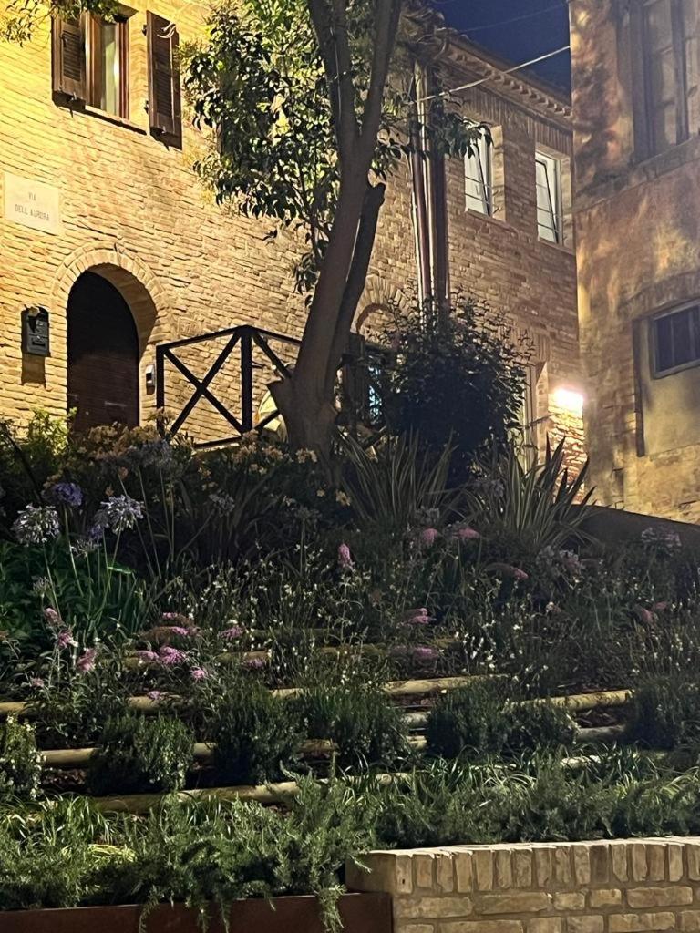 Mia House - Alloggio da sogno a Civitanova Alta view 5