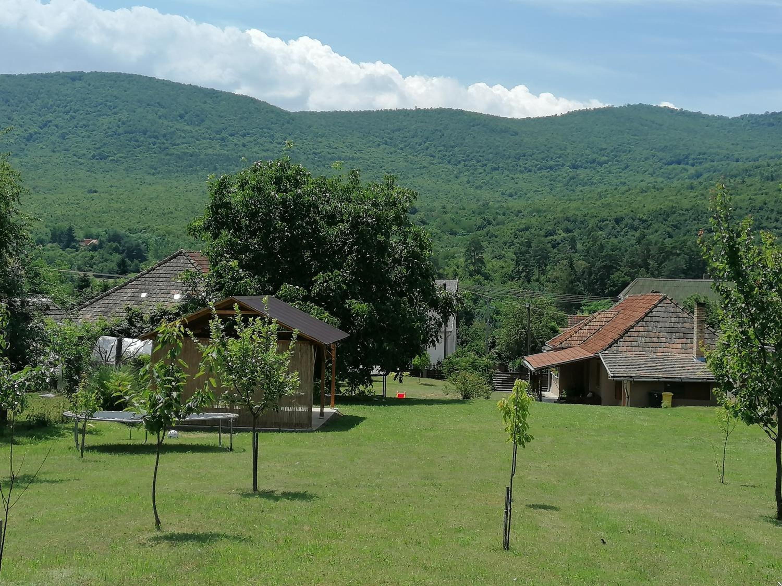 Photo 21