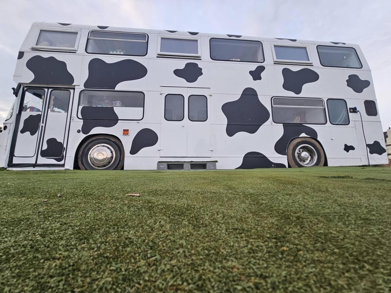 Mooview- the charming double decker bus