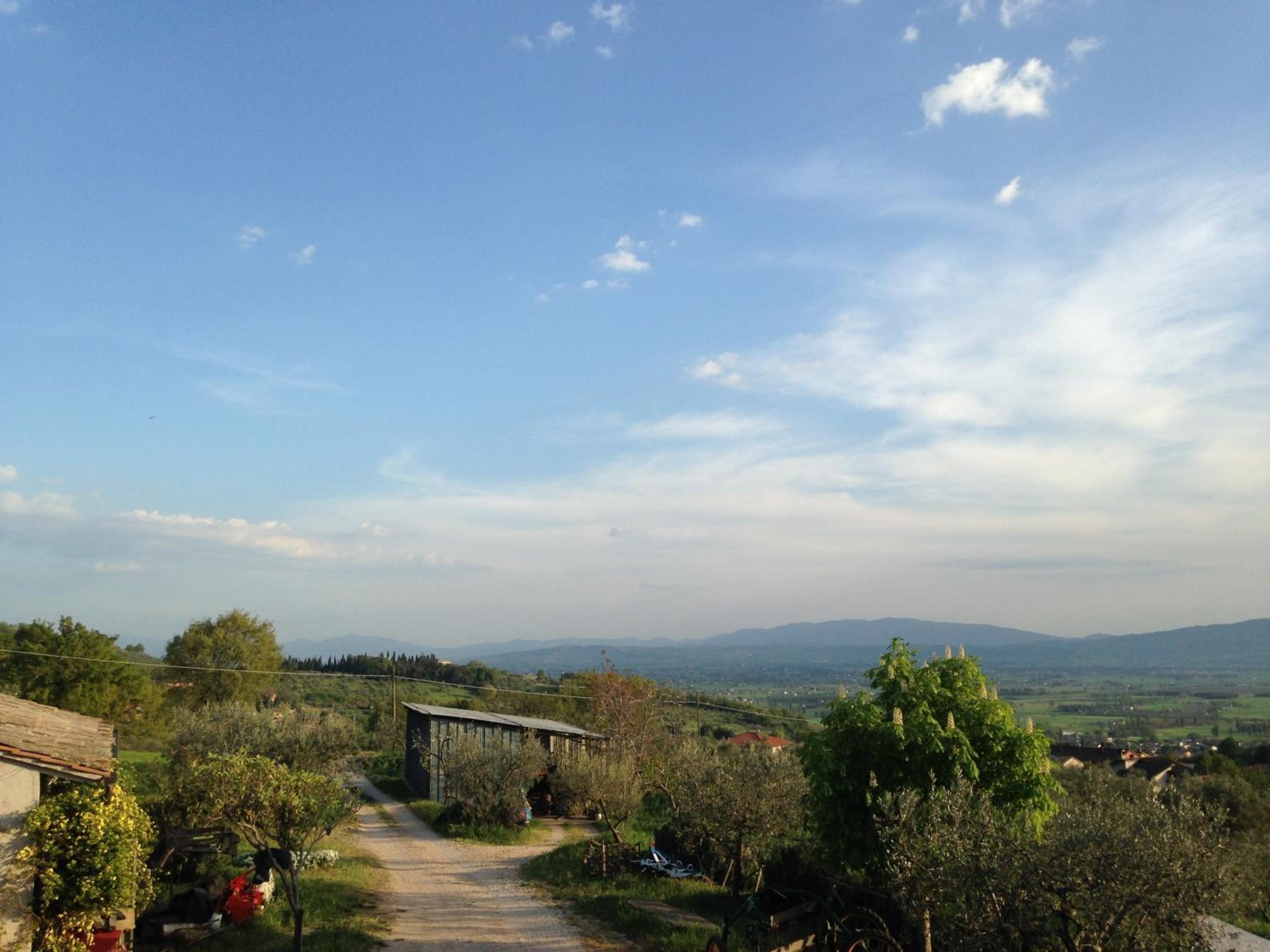 Photo 43