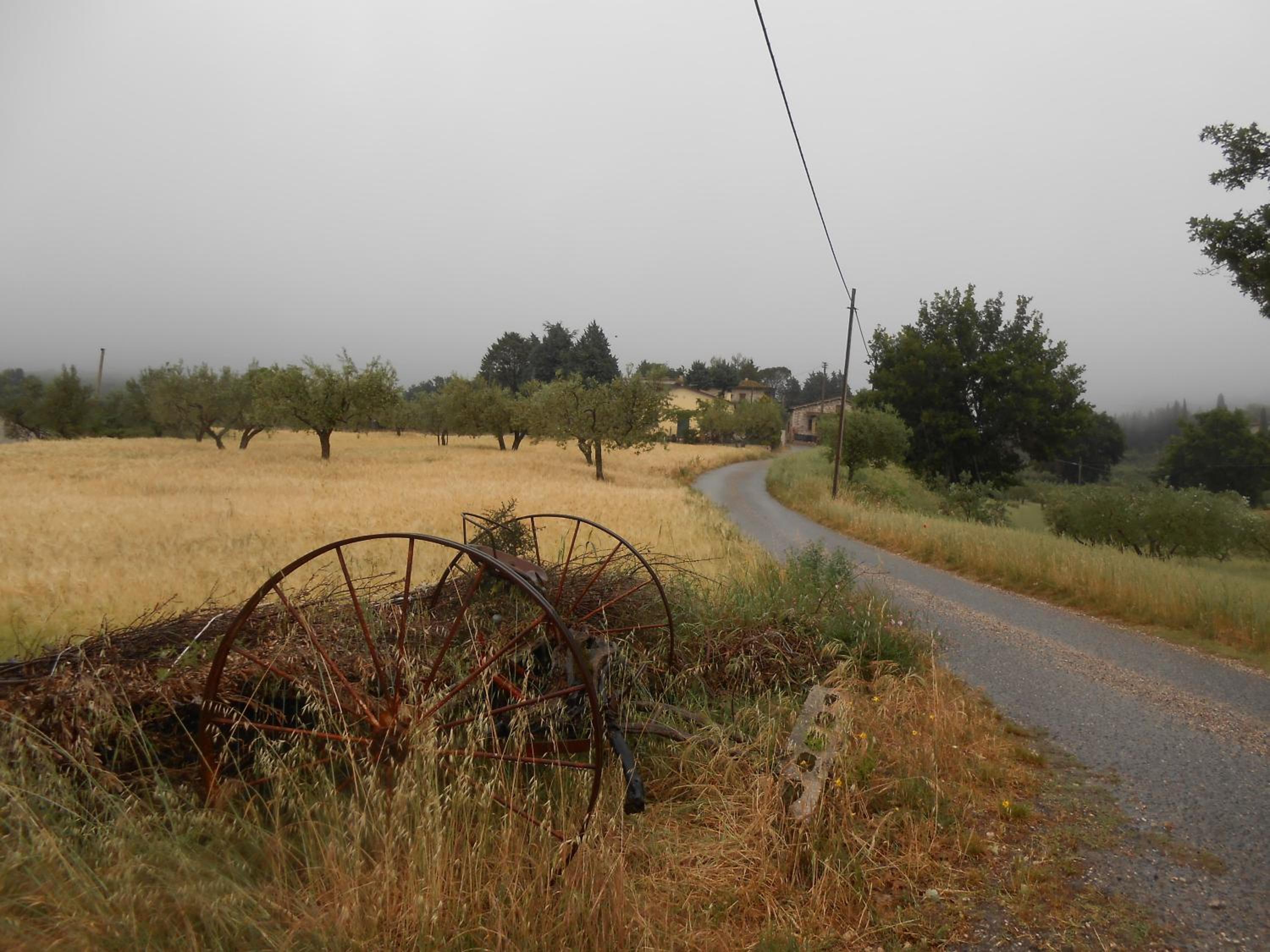 Photo 48