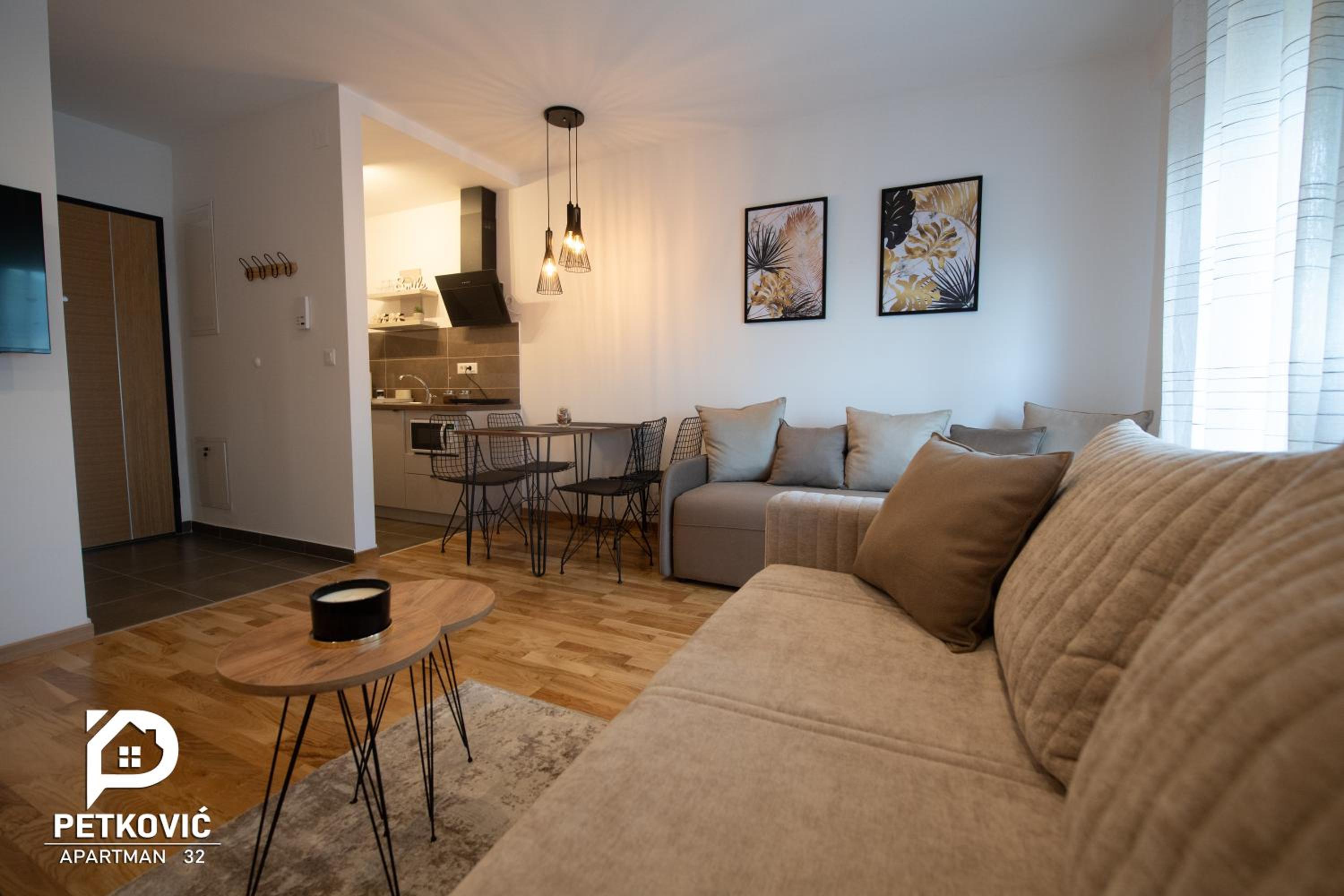 Petković apartmani STUDIO32 view 2