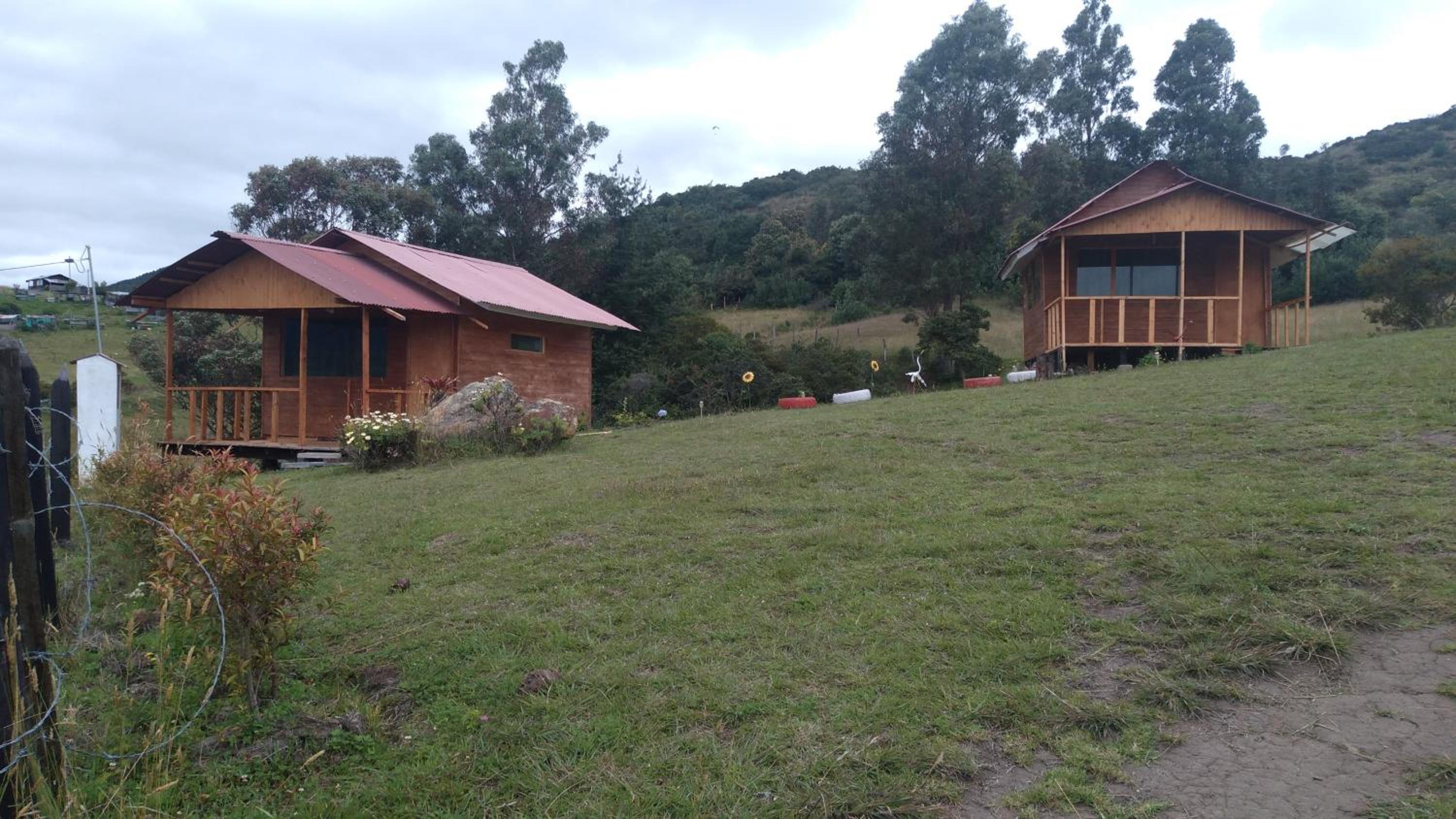 Photo 21