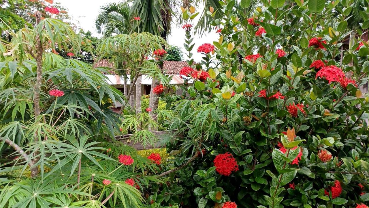 Photo 42