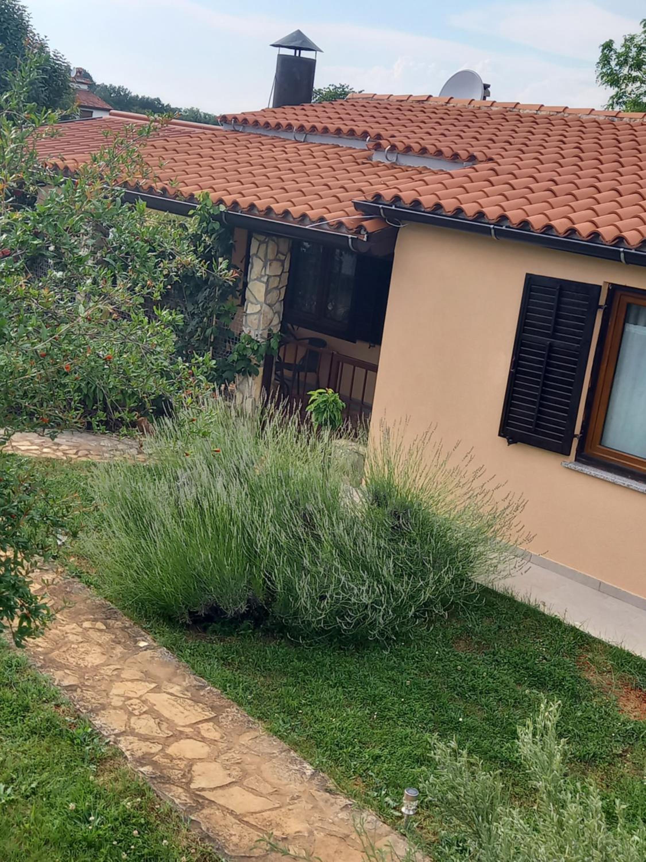 CASETTA TRA GLI ULIVI