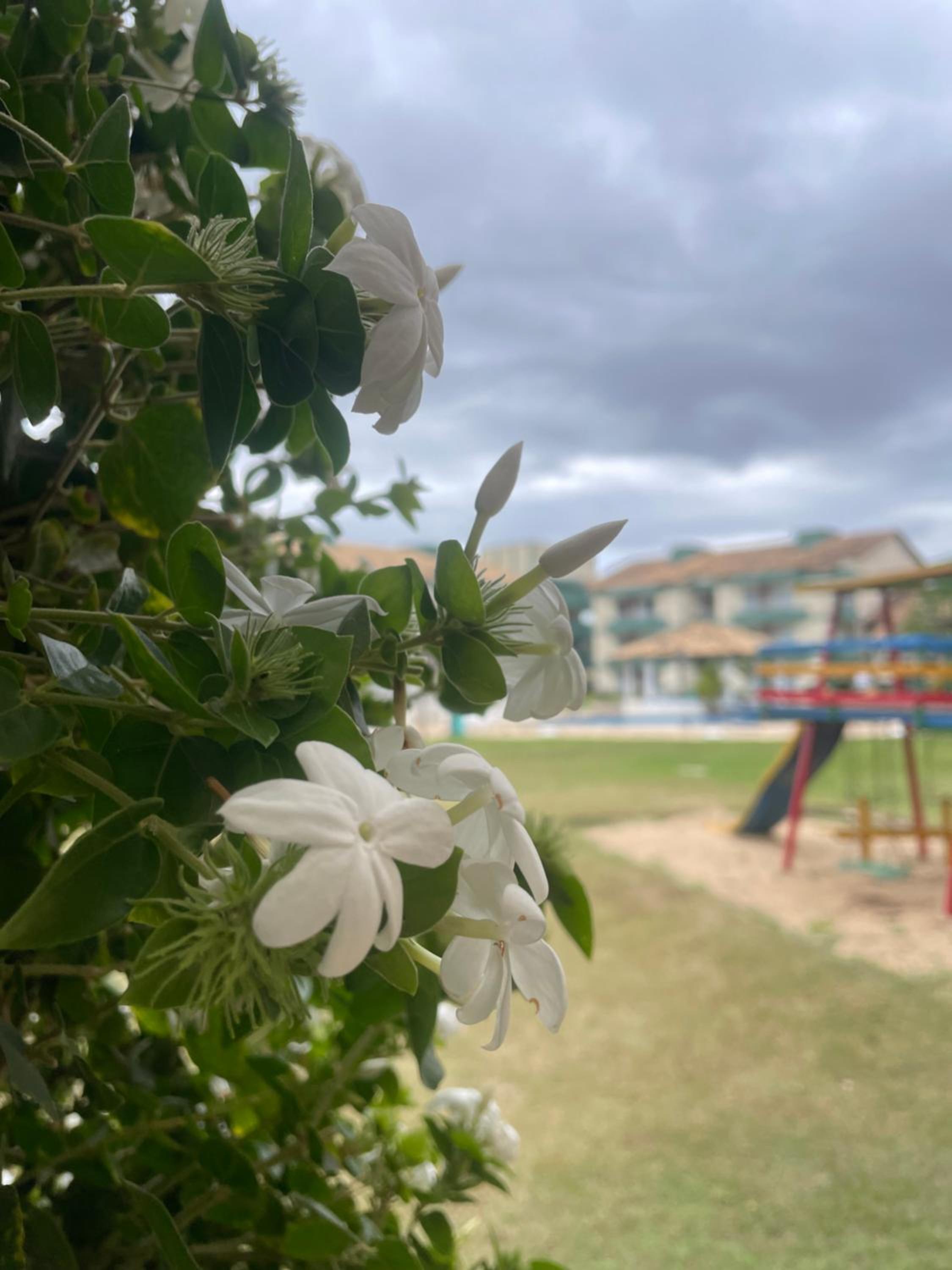 Flat Polaris - Condomínio Village - Aldeia das Águas