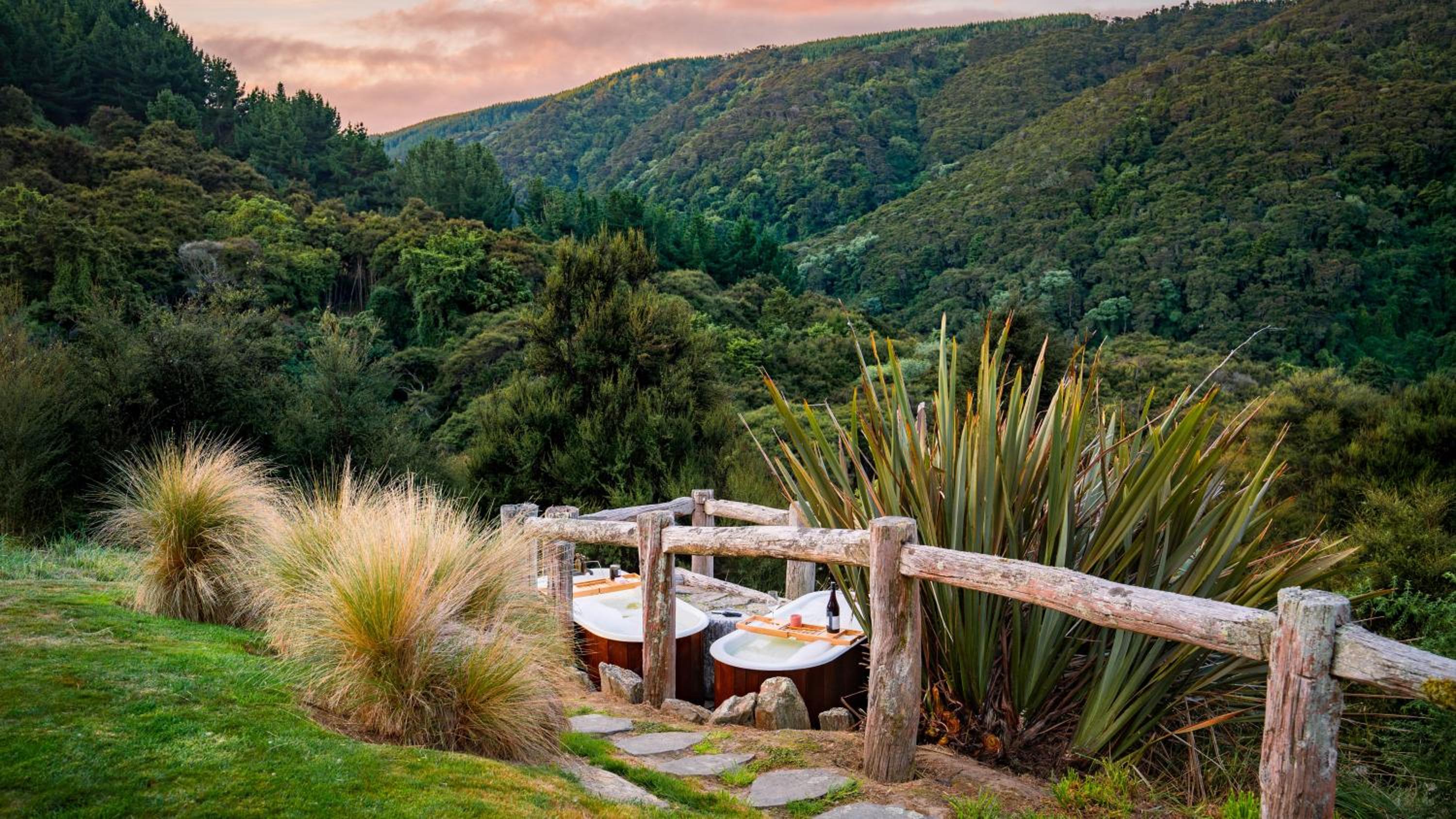 Cascade Creek Retreat - near Dunedin - Image 3