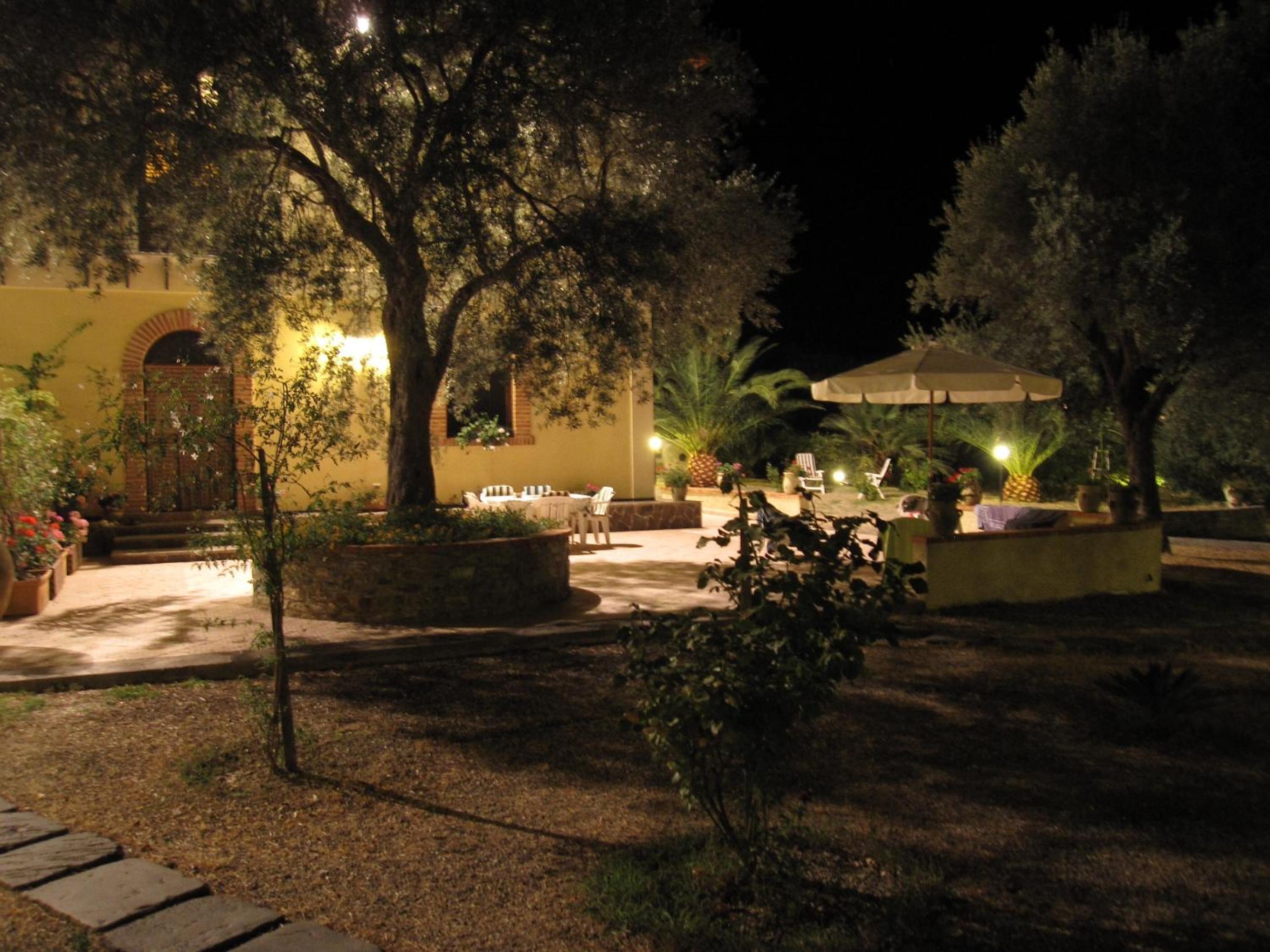Photo 20