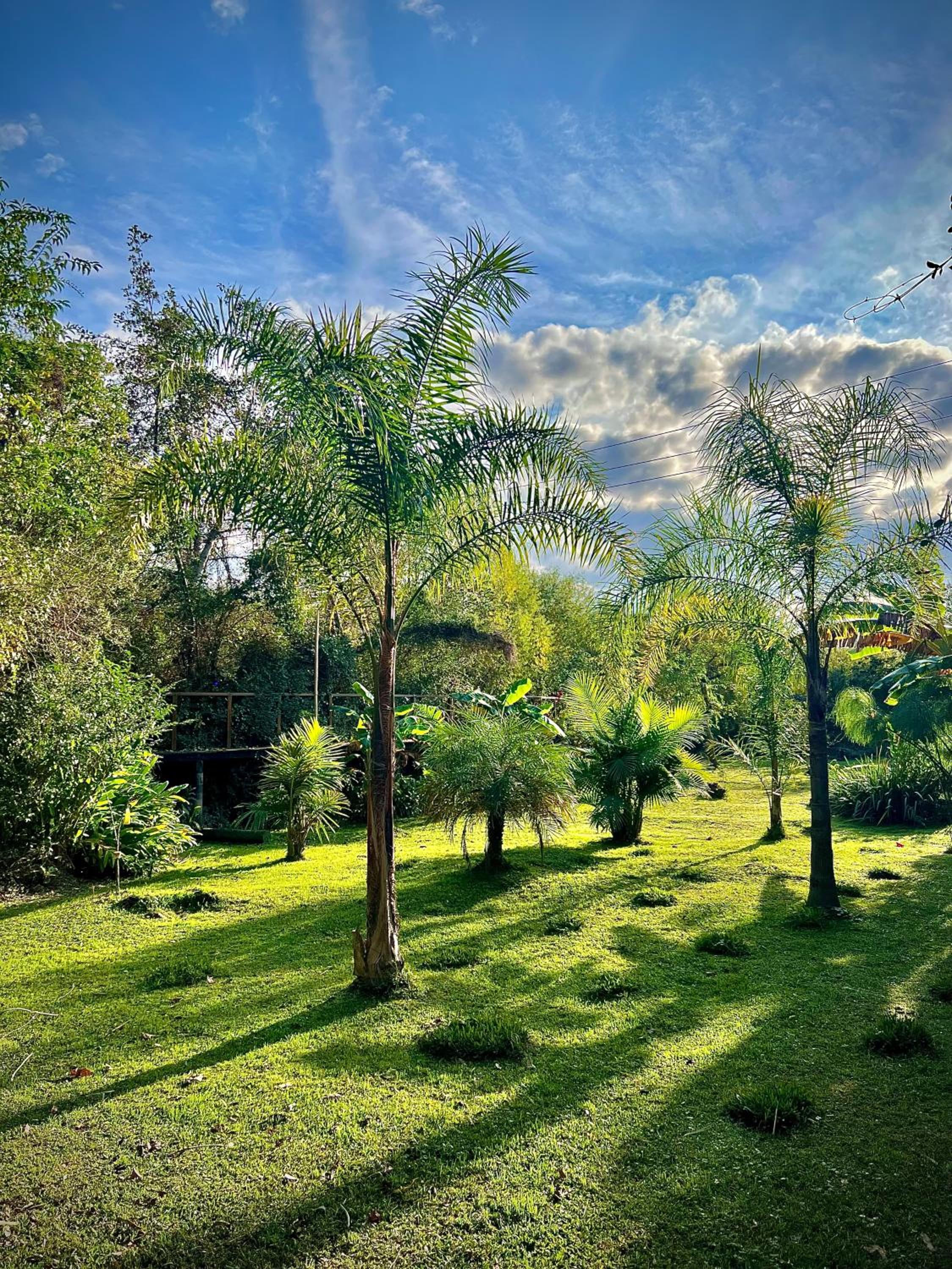 Eco Cabaña Río con Pileta privada