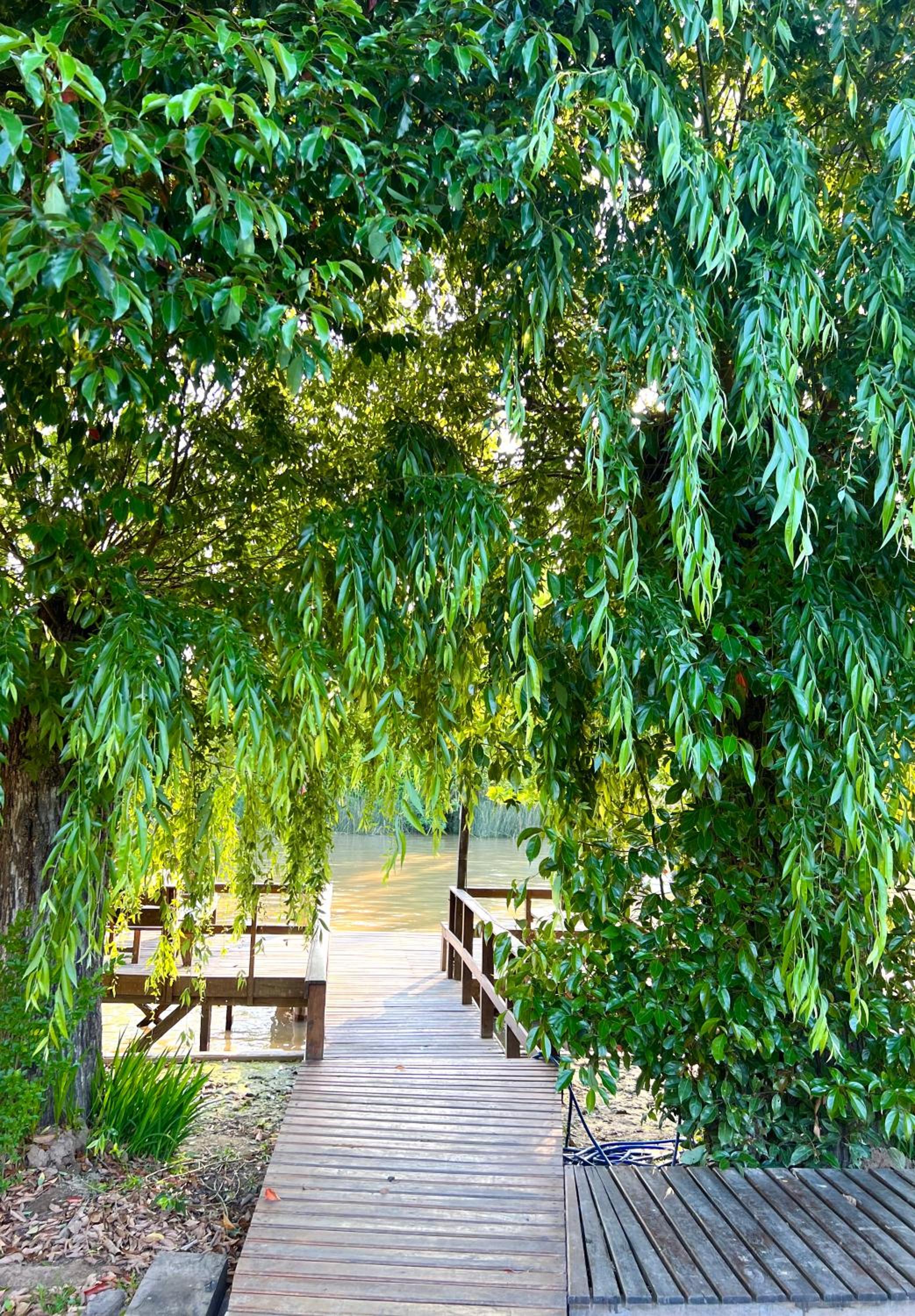 Eco Cabaña Río con Pileta privada