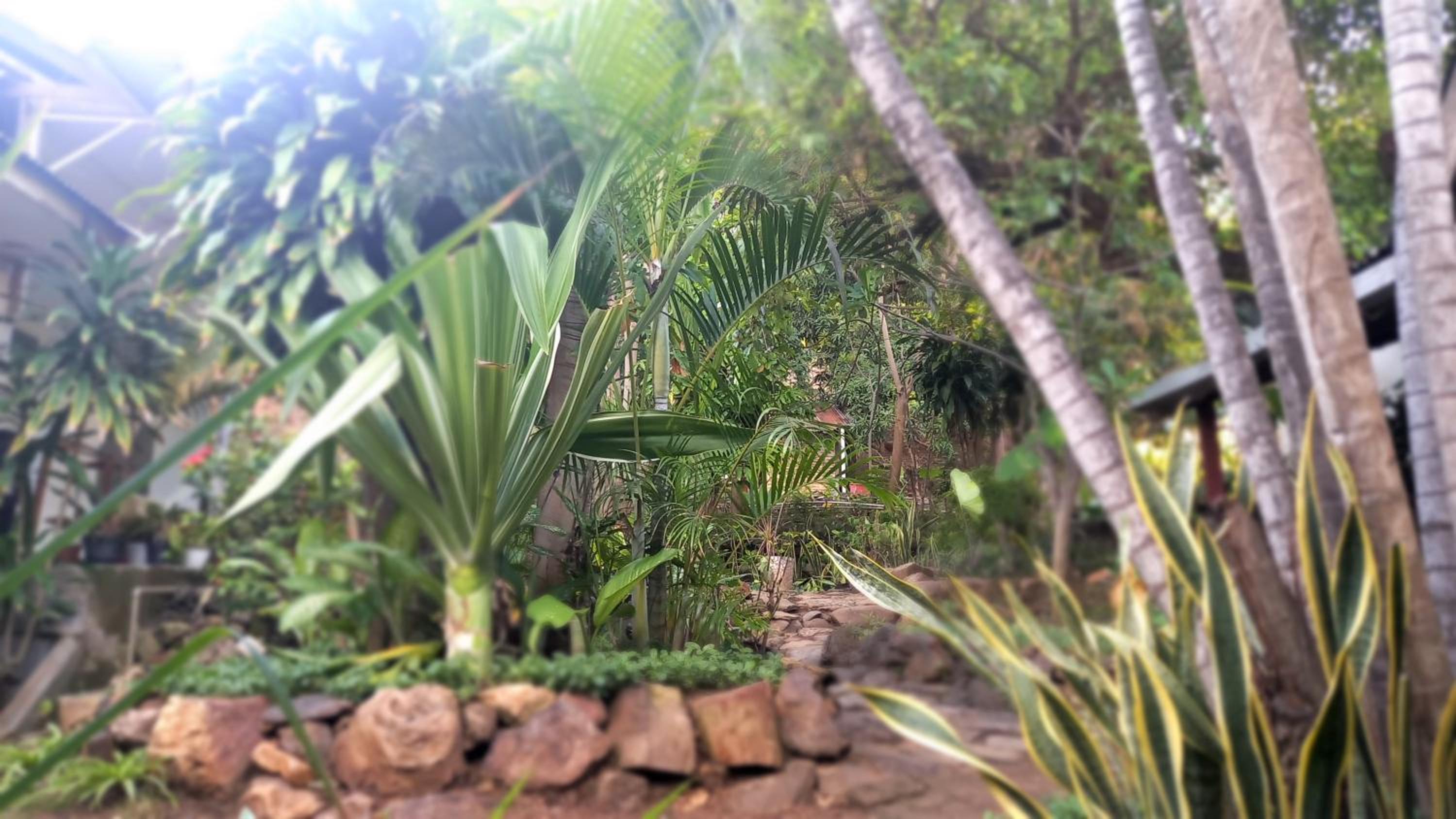 Bajo Hotel