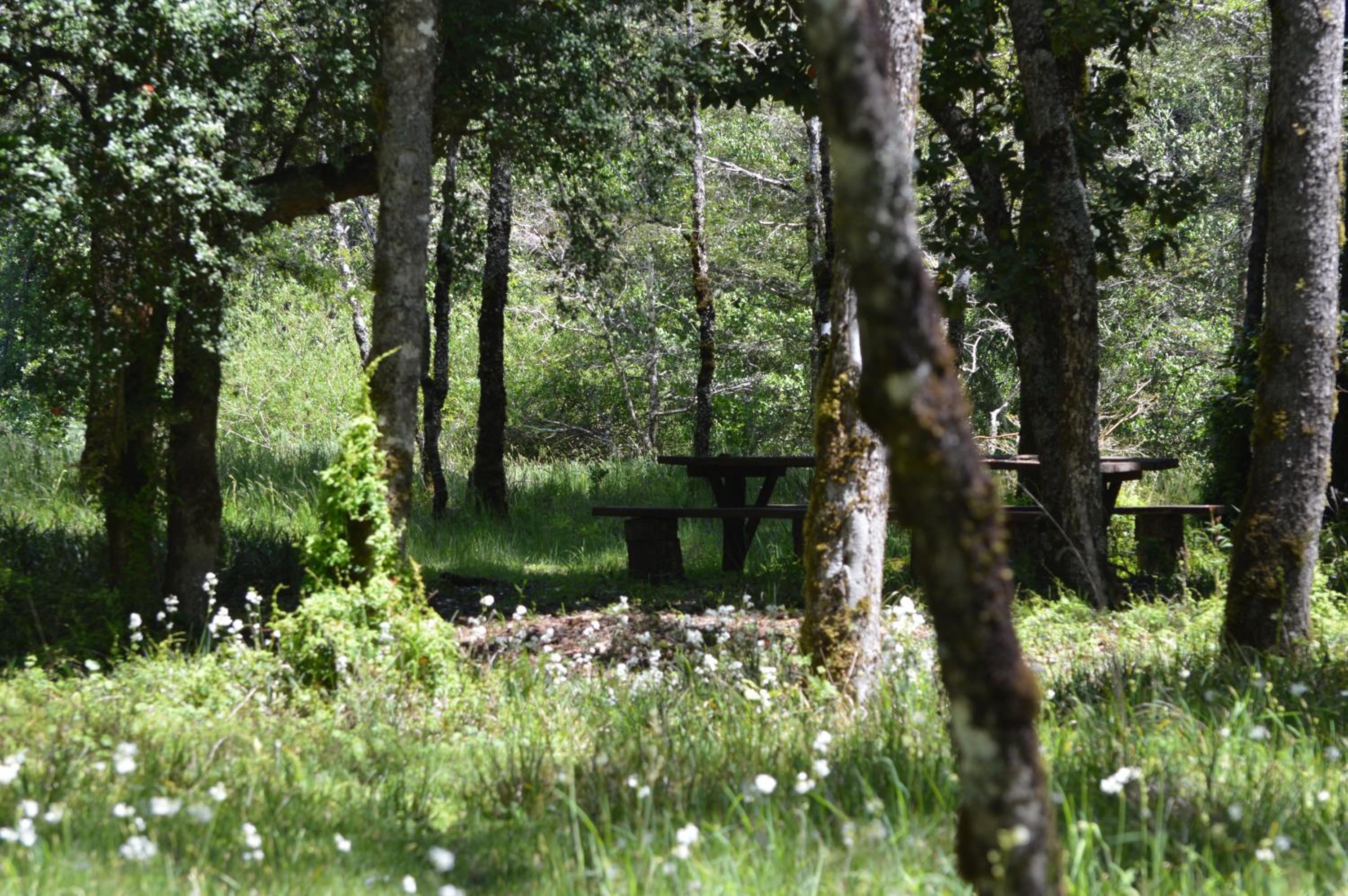 Cabañas Valle del Río