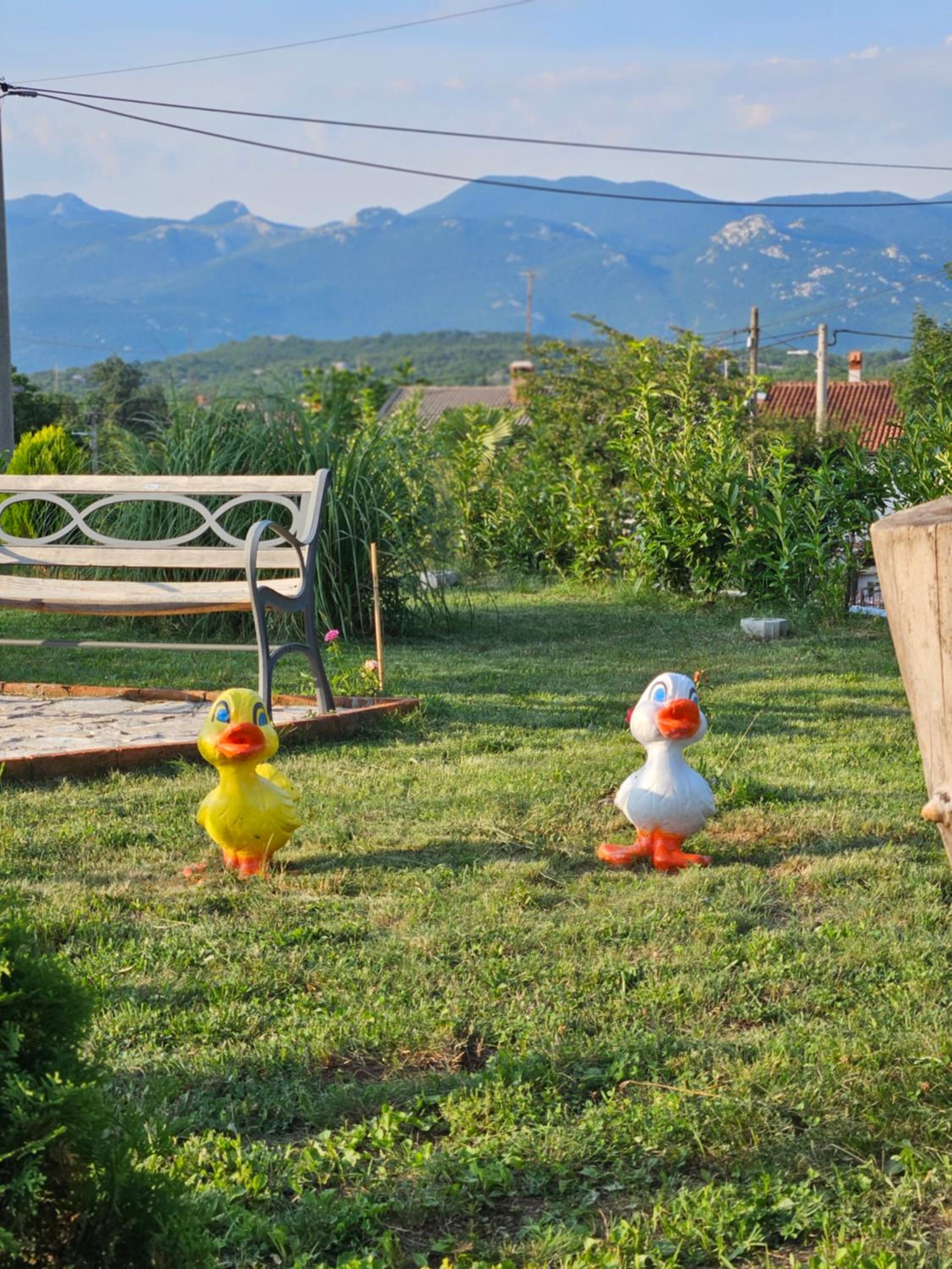 Apartmani Dado