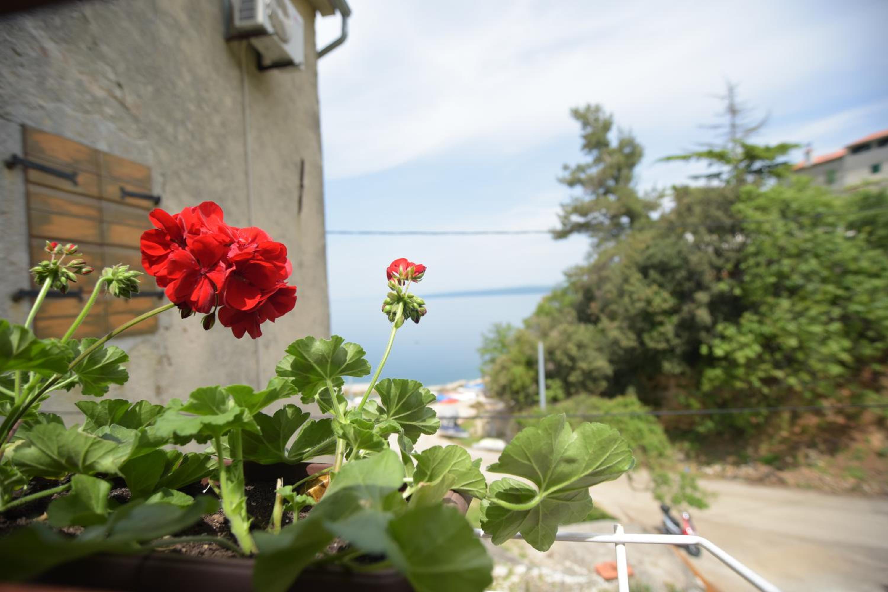 Apartment Ilario