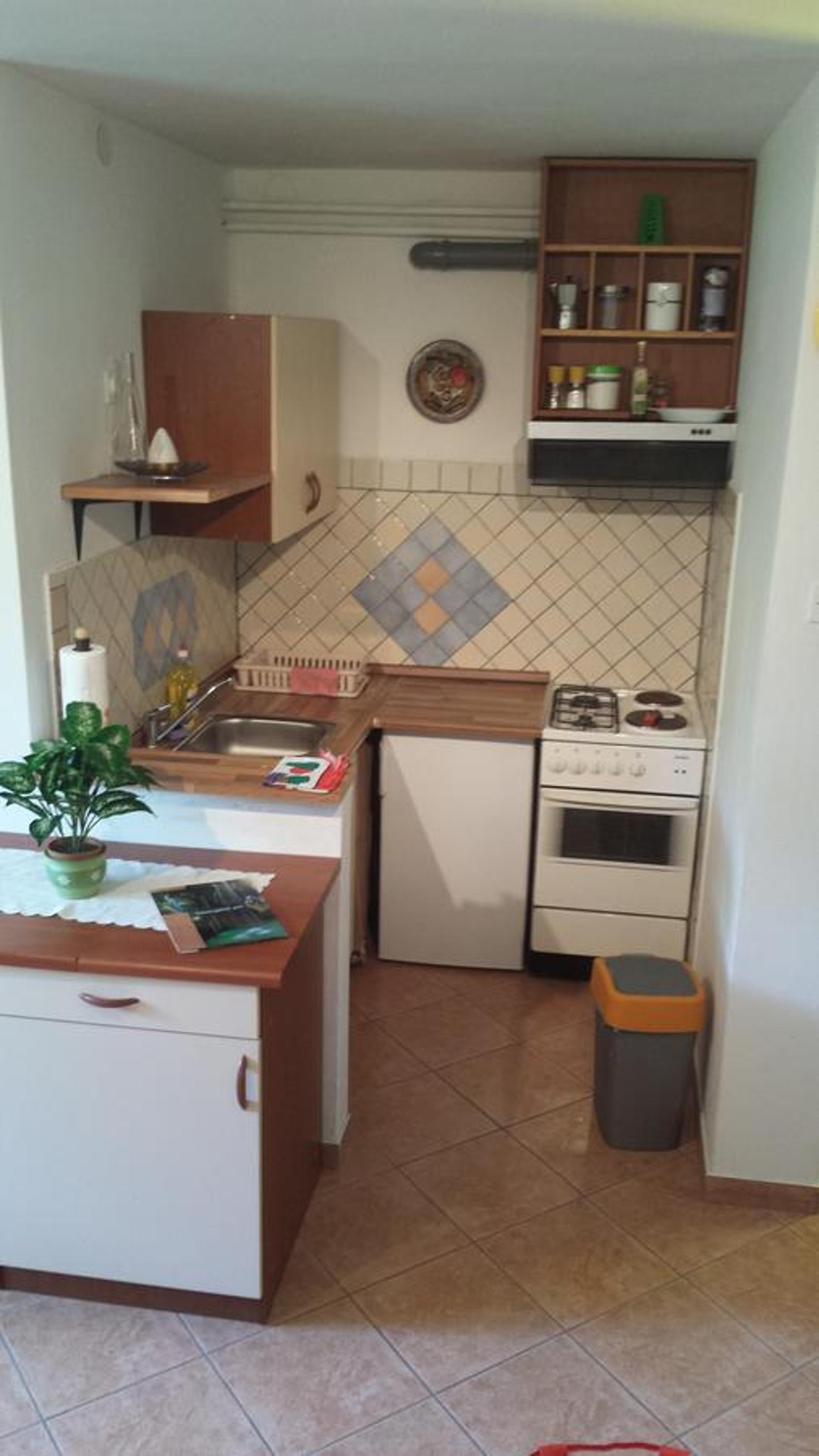 Apartments Ručna view 4