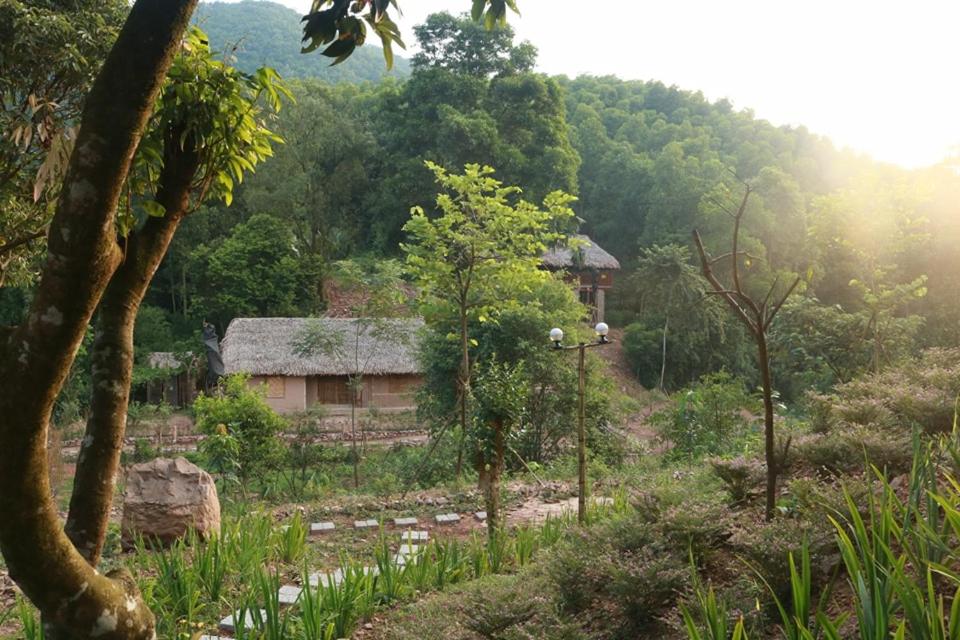Photo 19
