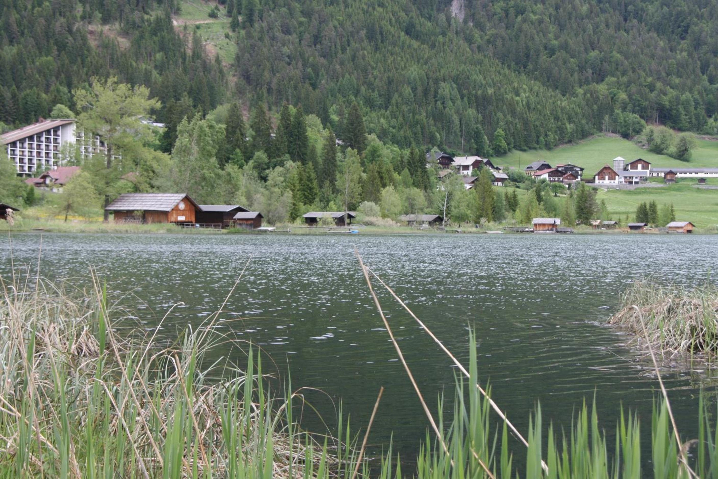 Haus Alpina view 5