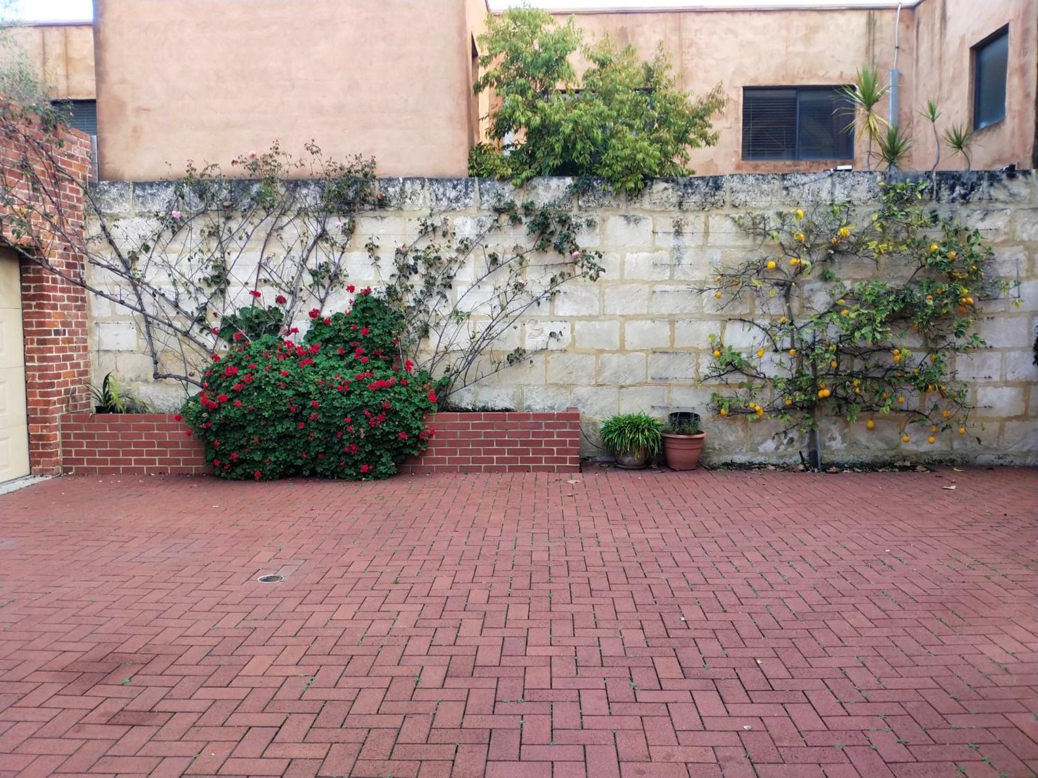Snow-white's 2 bedroom City heart Cottage in Perth 6000