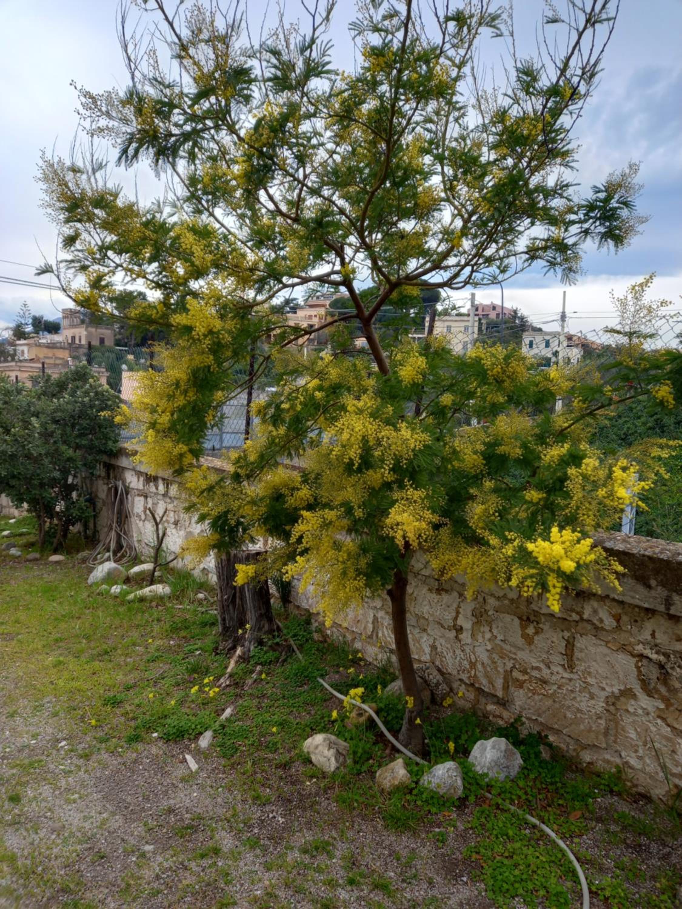 Casteldaccia riviera