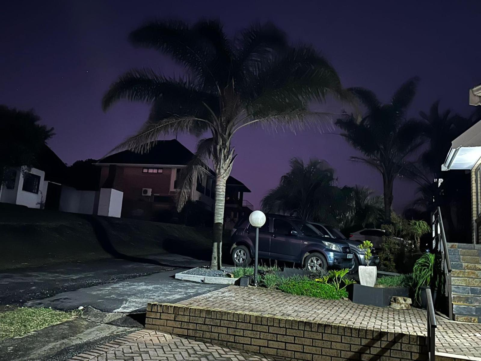 Photo 41