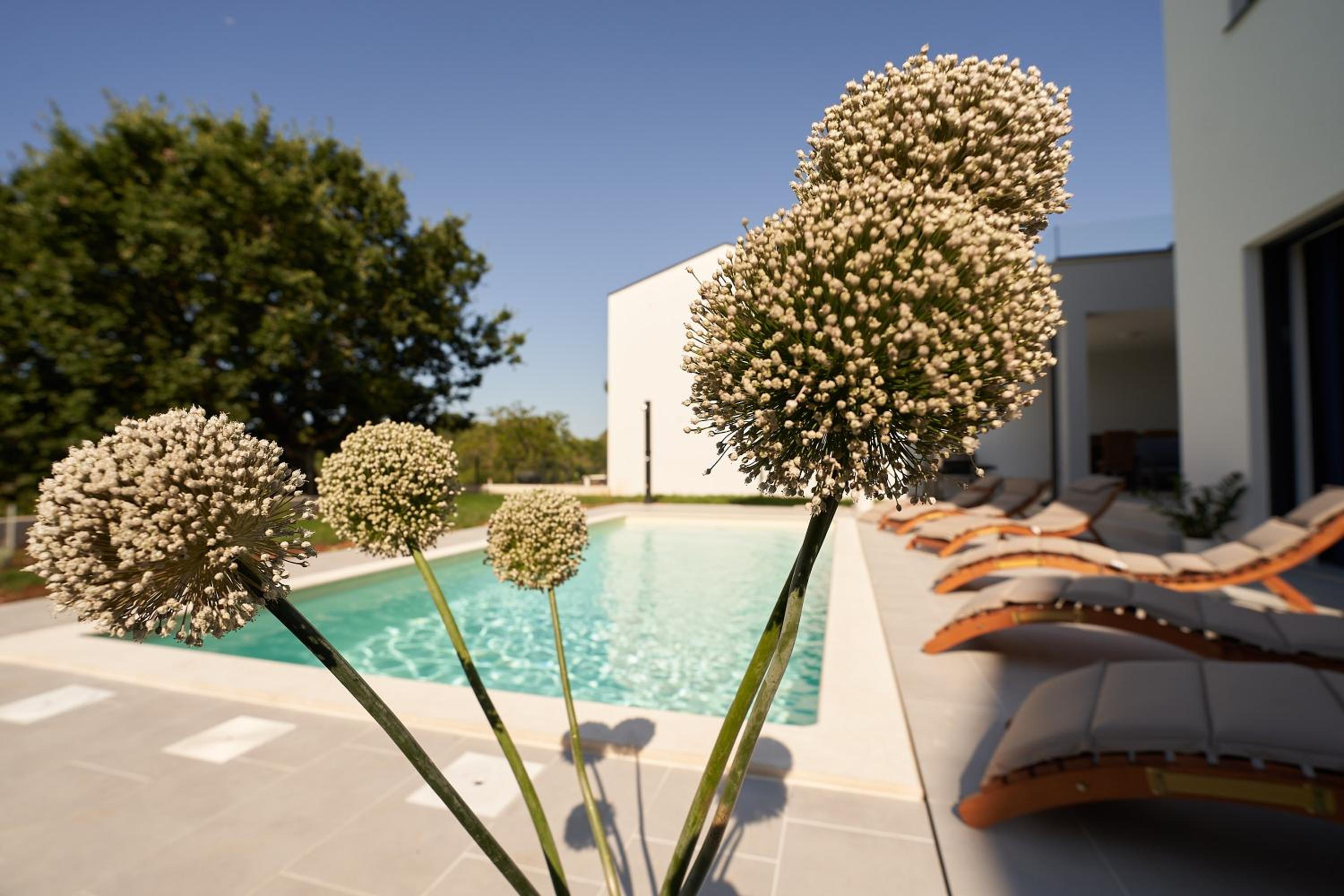 Villa Martin Noel